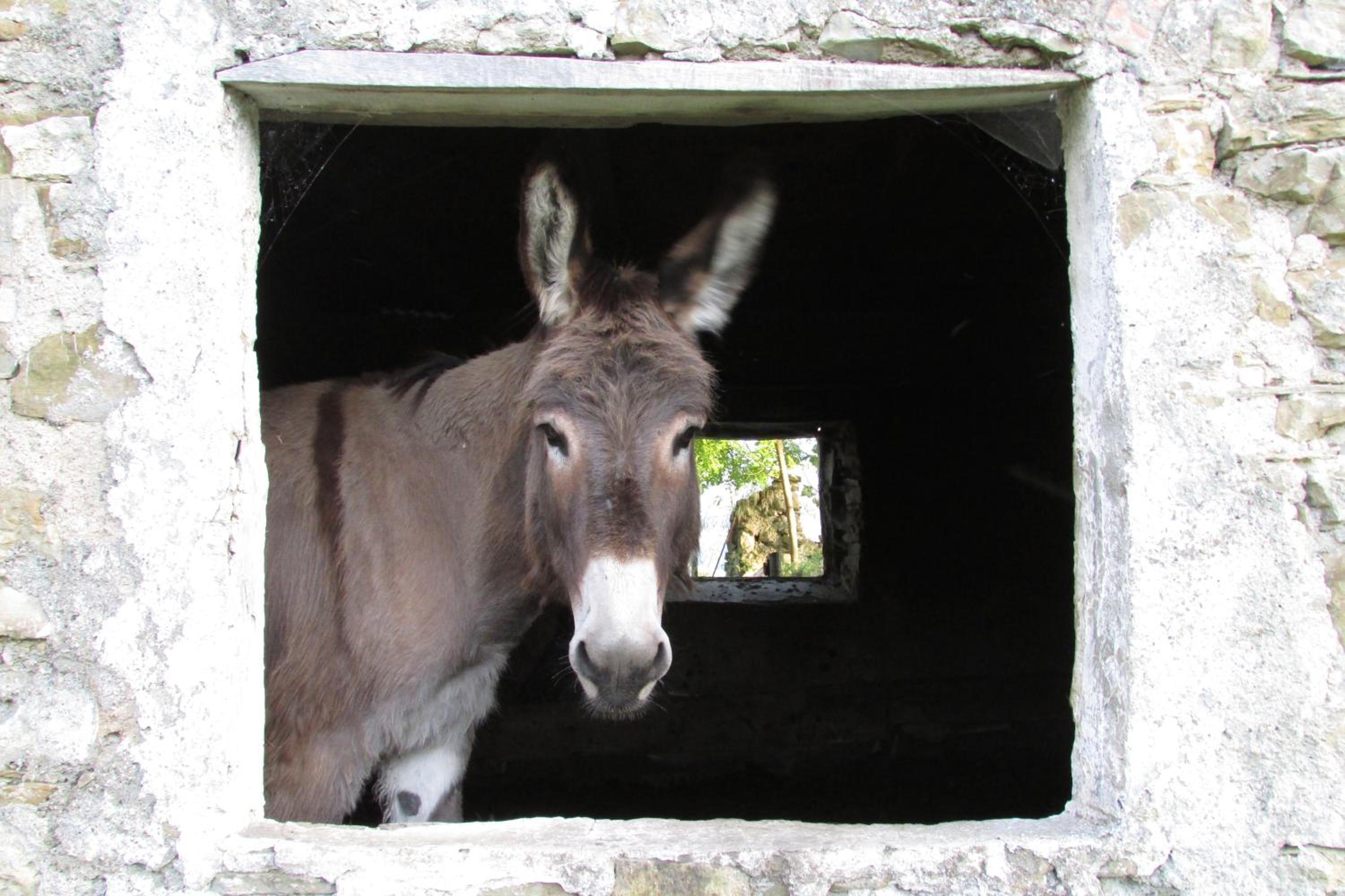 Società Agricola Cacigolara