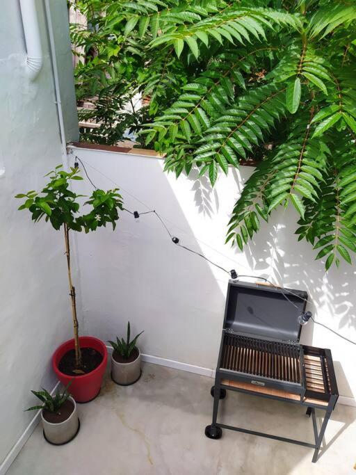 Casa Limón