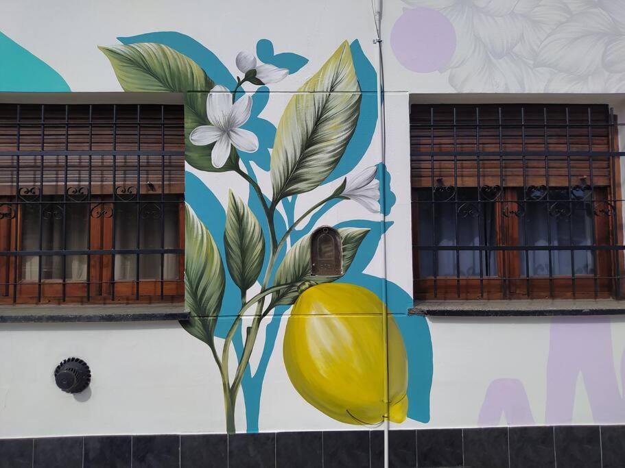 Casa Limón