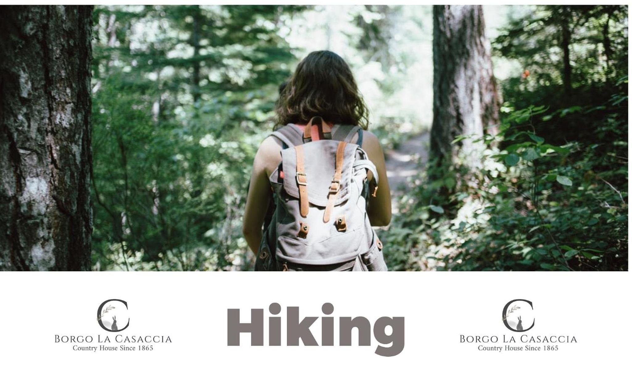 Borgo La Casaccia photo 4