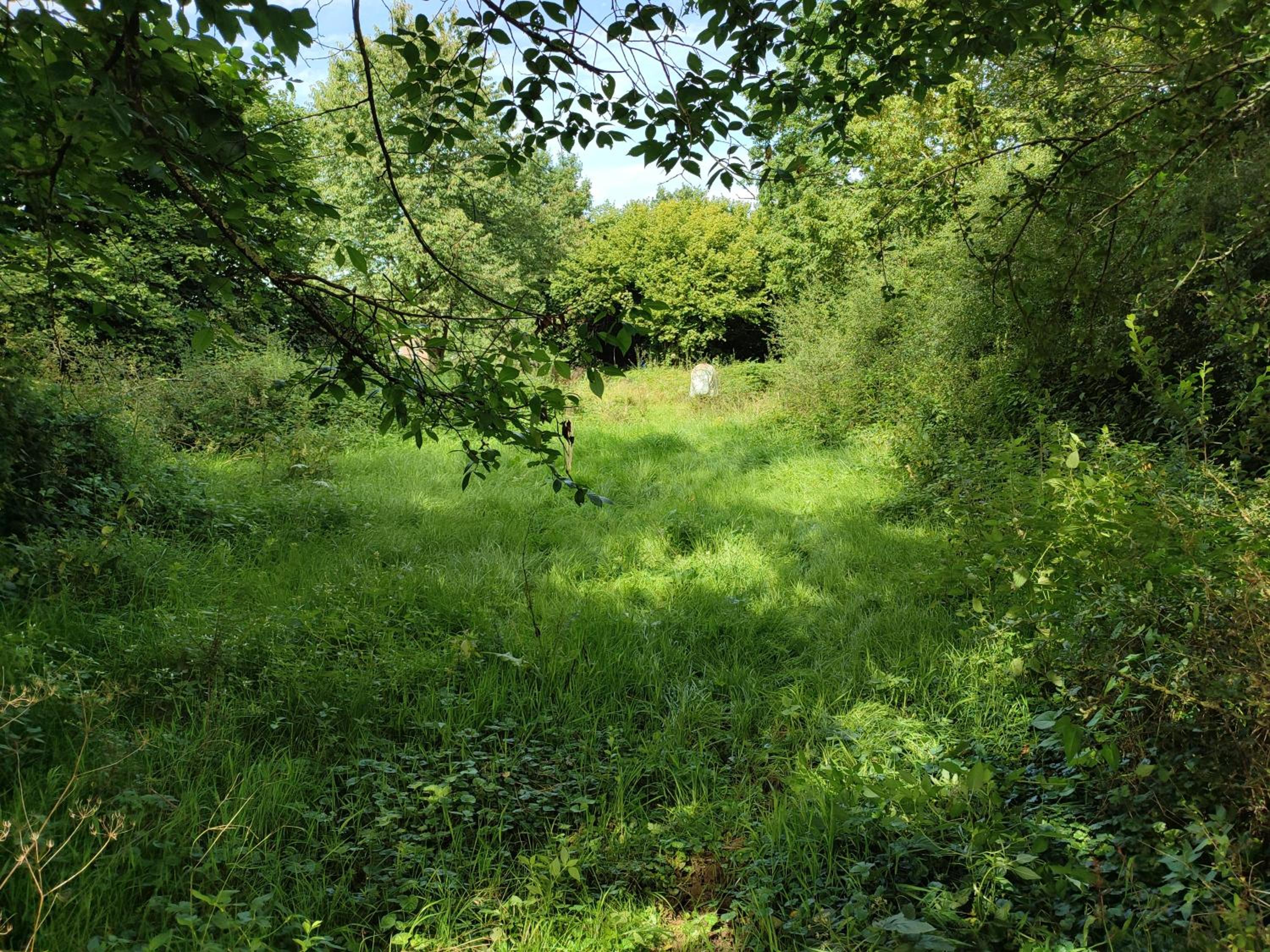 fredhousedurbuy
