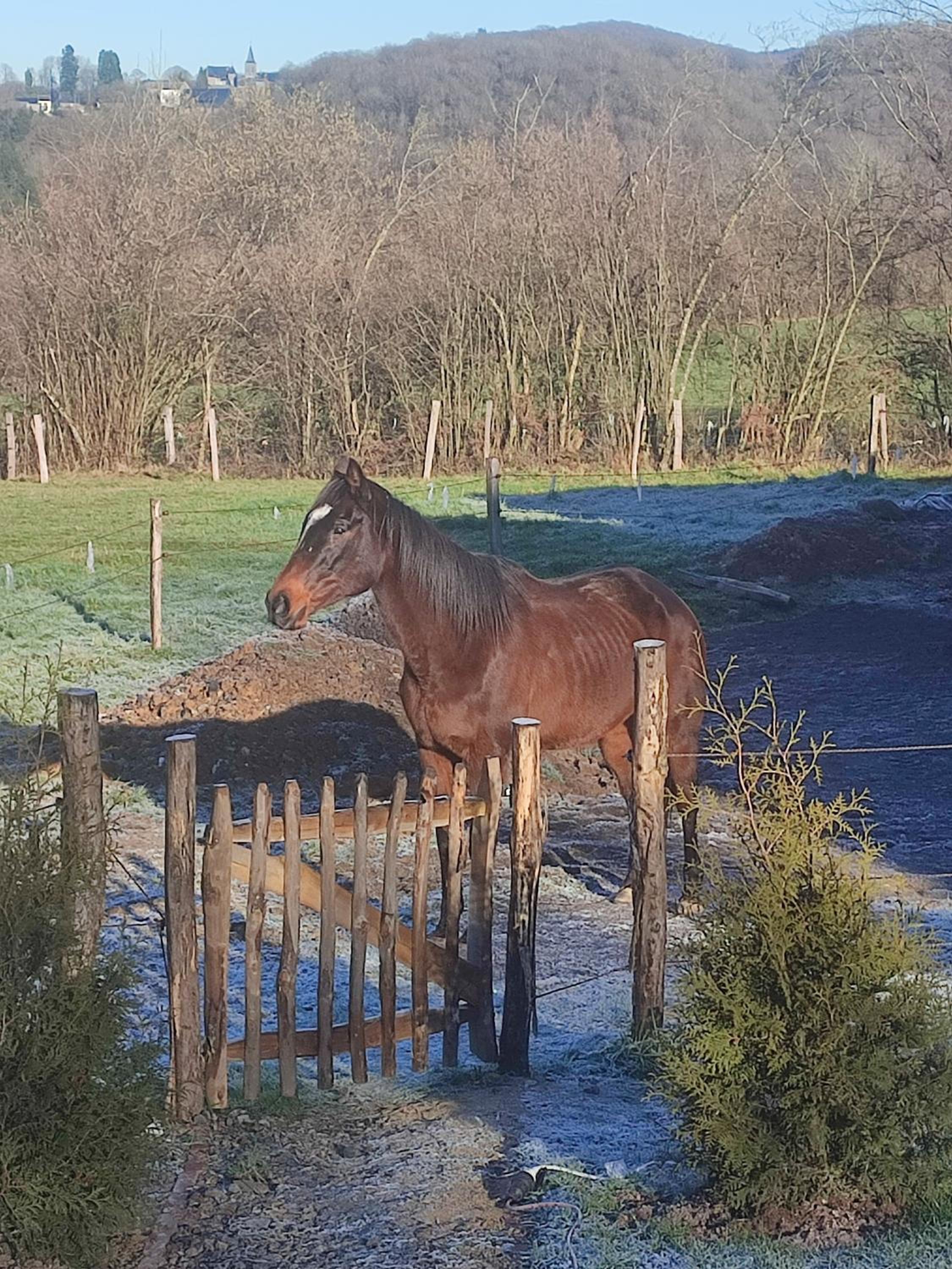 fredhousedurbuy