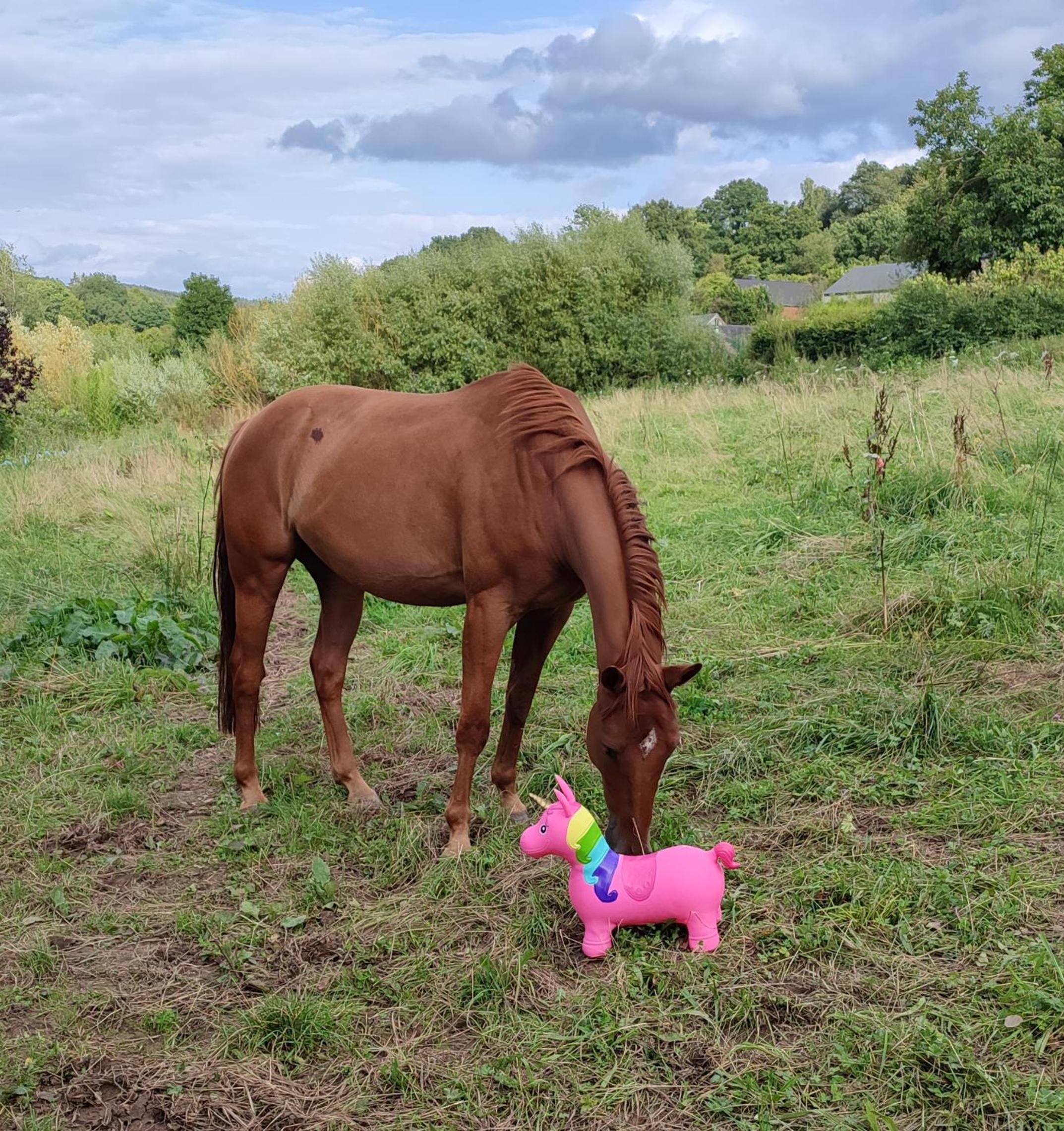 fredhousedurbuy