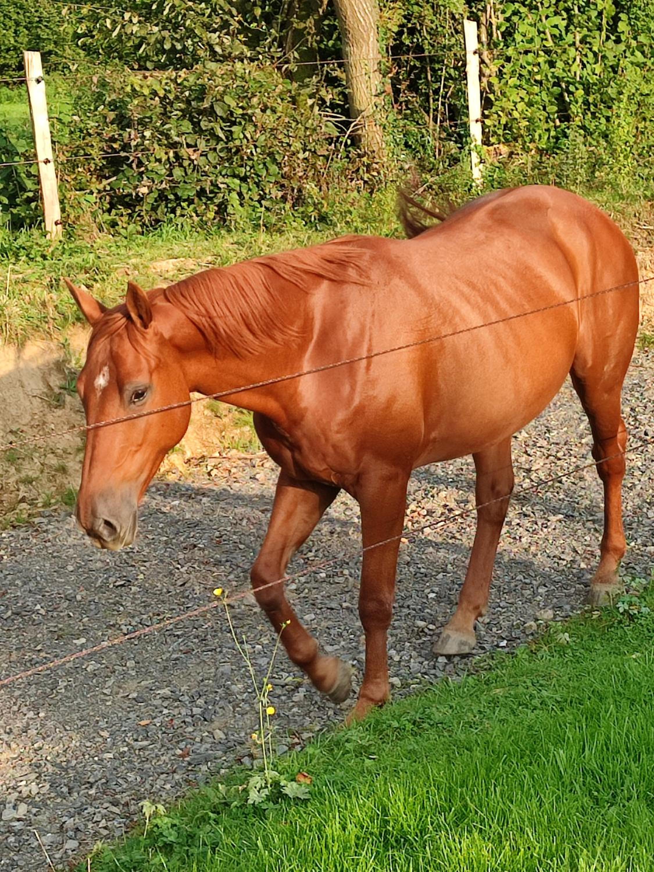 fredhousedurbuy