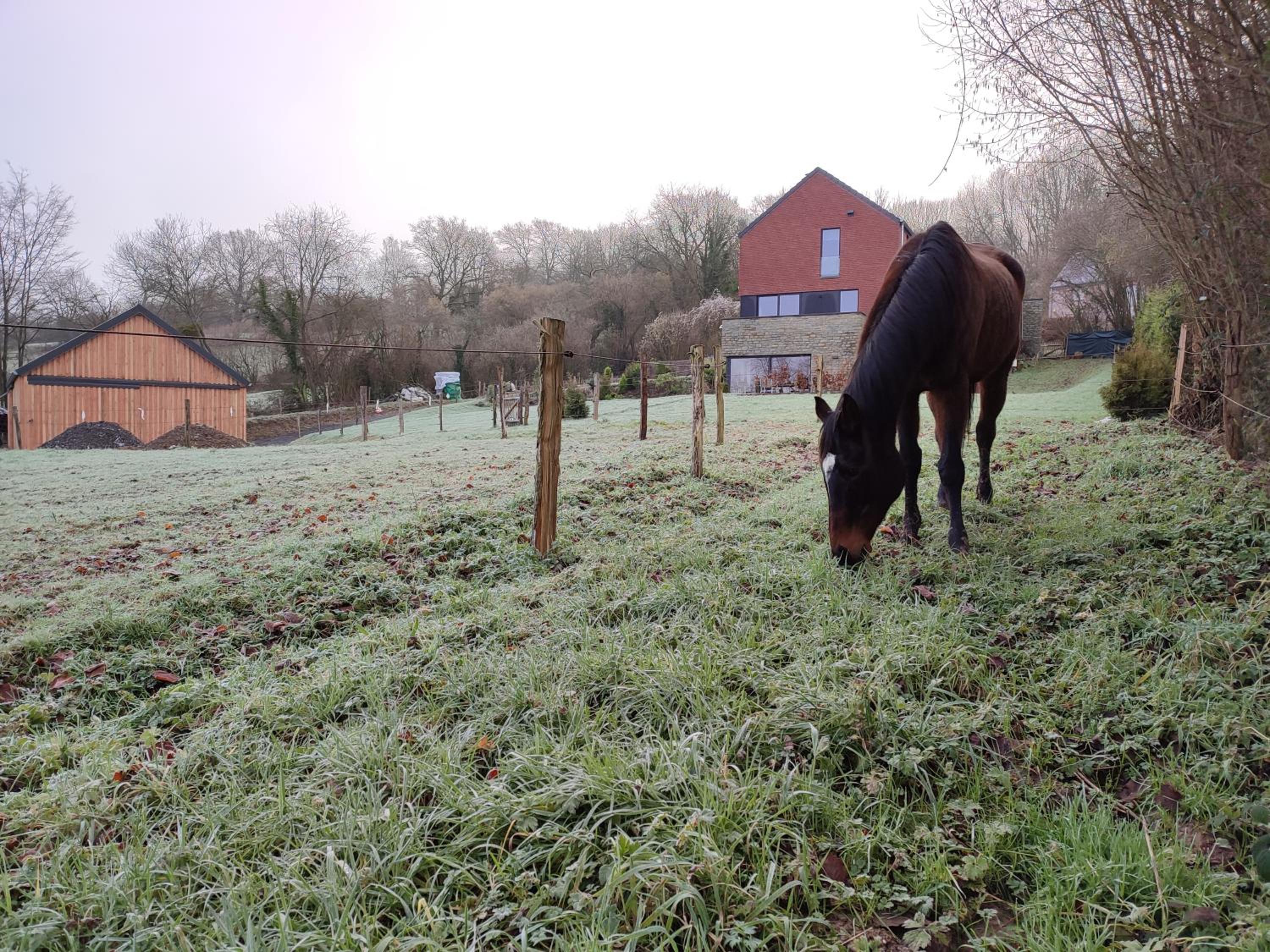 fredhousedurbuy