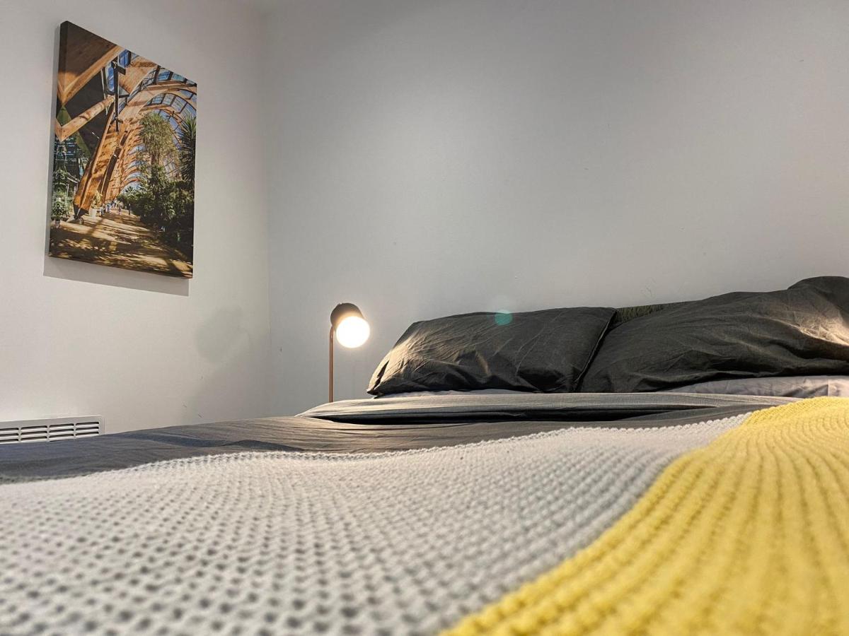 Snuggle Flat in Sheffield view 3