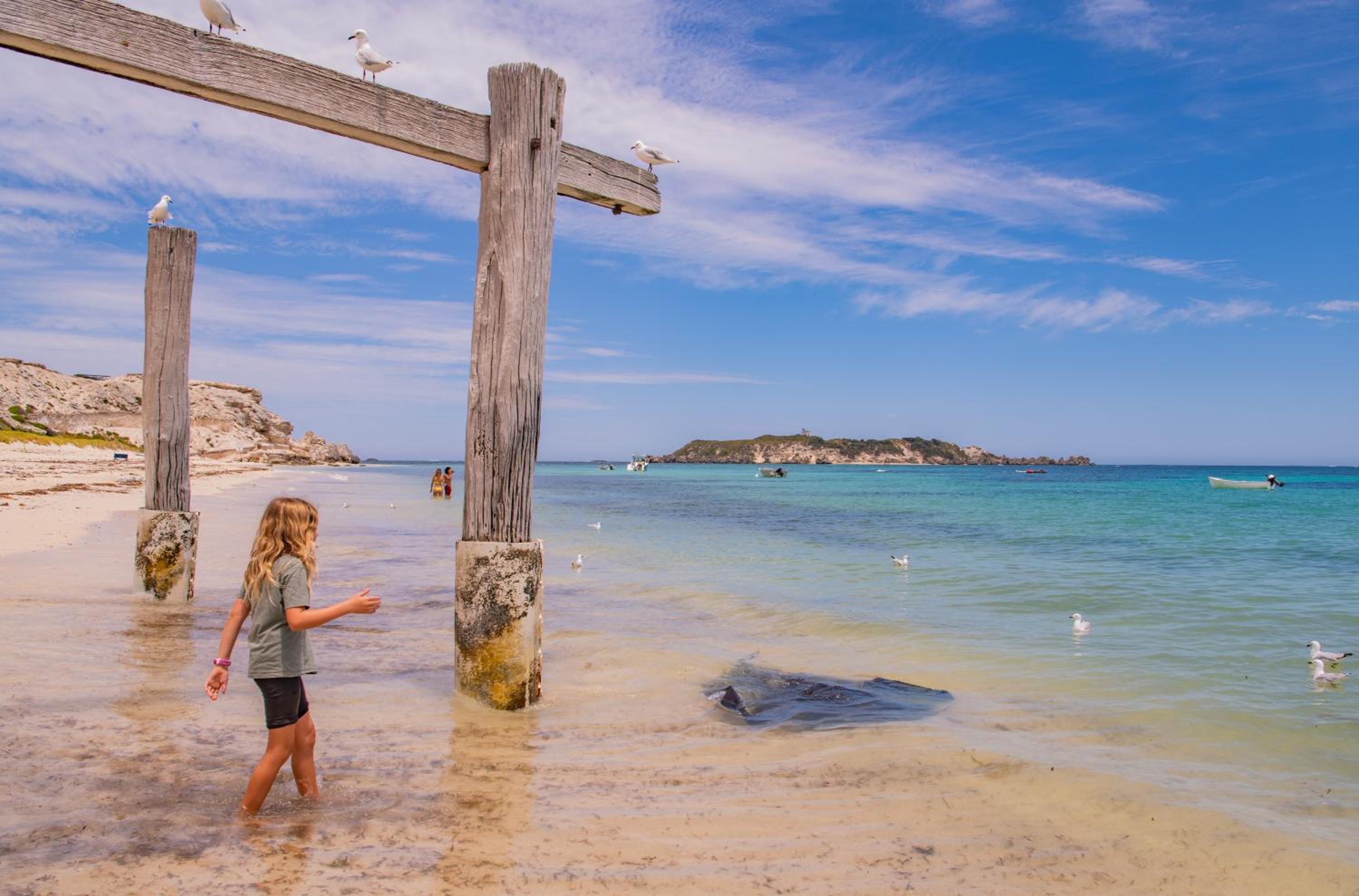 Hamelin Bay Seaclusion