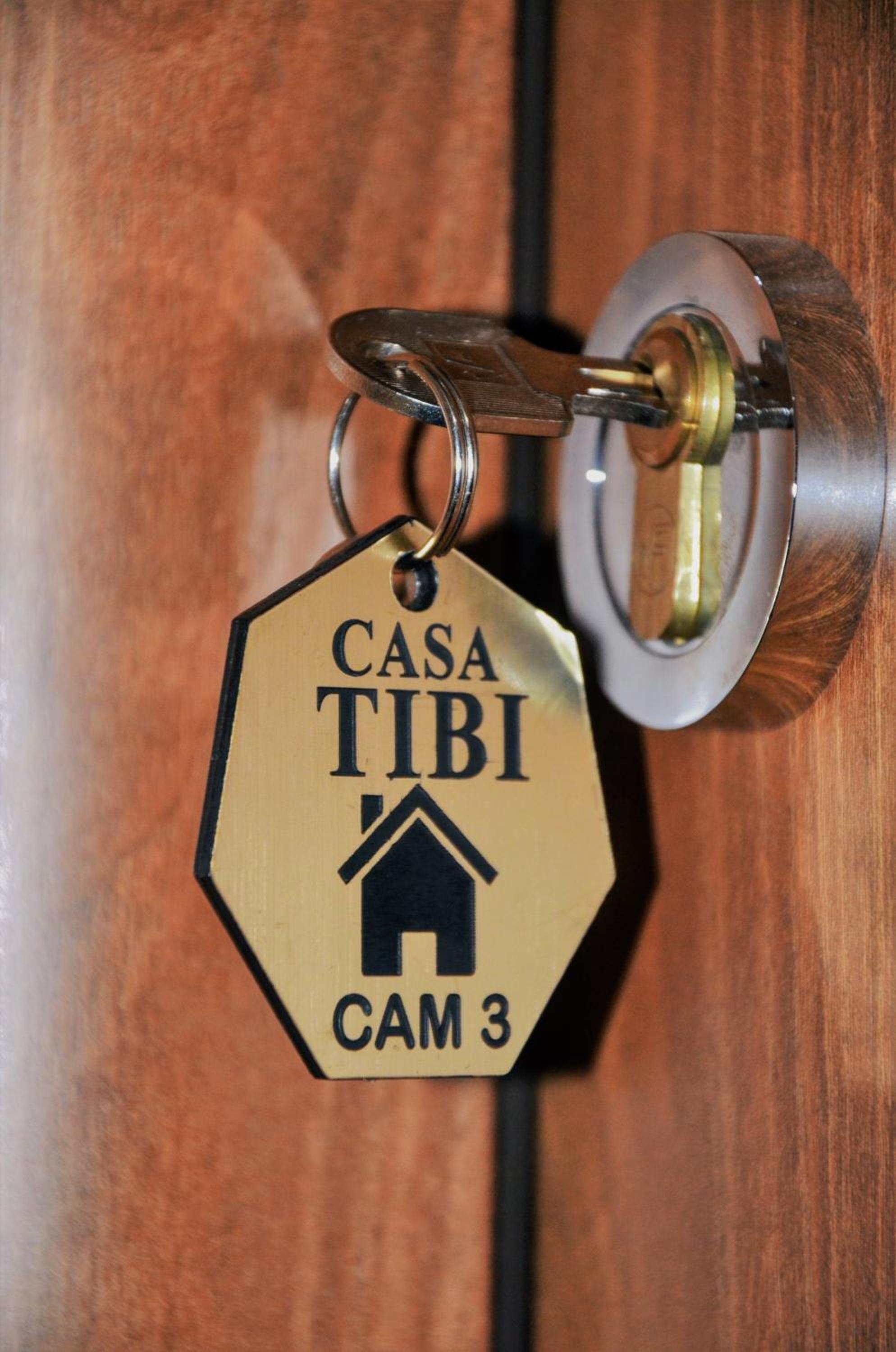 Casa Tibi - Sinaia view 5