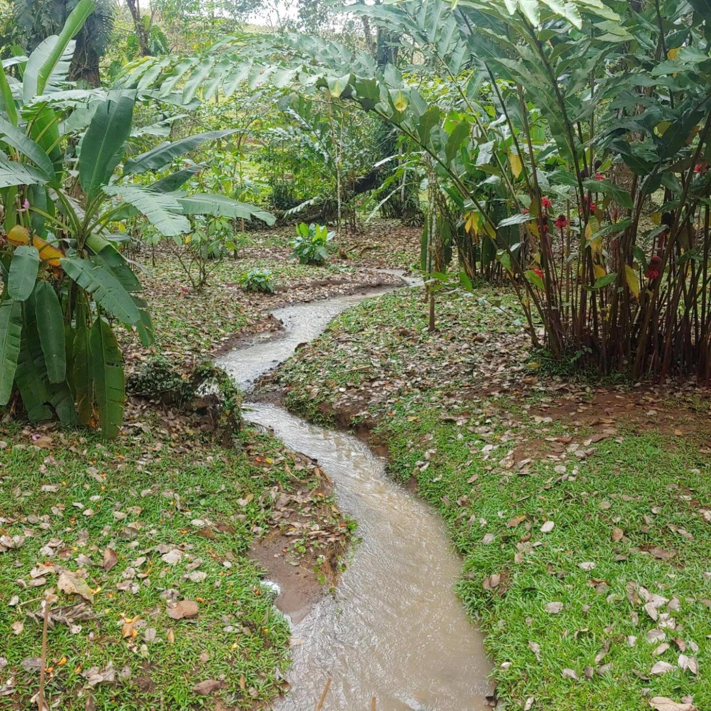 Jaco-Carara 3 bdrm surrounded by rainforest with private pool