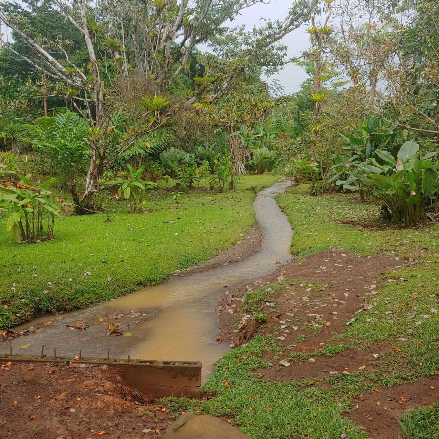 Jaco-Carara 3 bdrm surrounded by rainforest with private pool