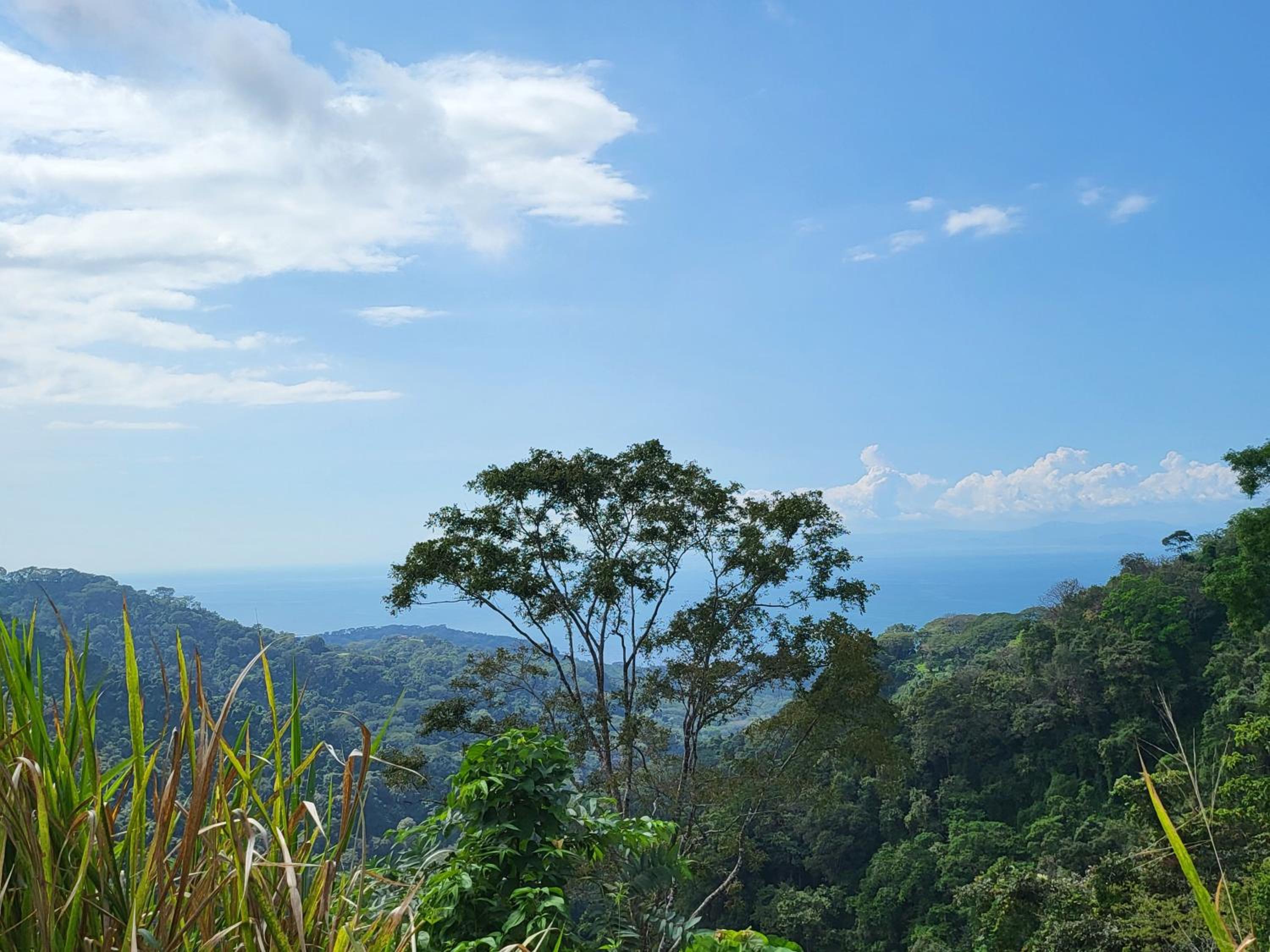 Jaco-Carara 3 bdrm surrounded by rainforest with private pool