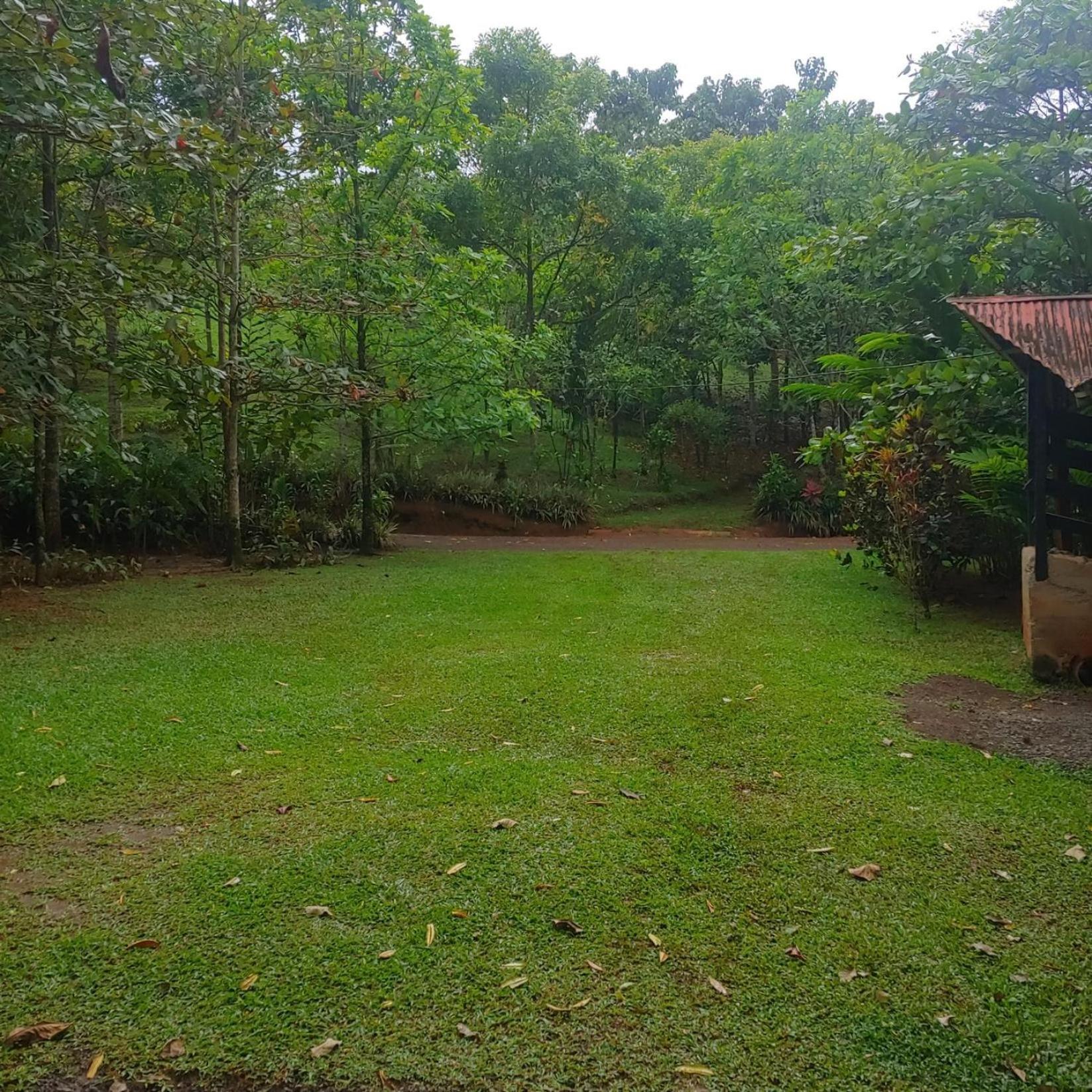 Jaco-Carara 3 bdrm surrounded by rainforest with private pool