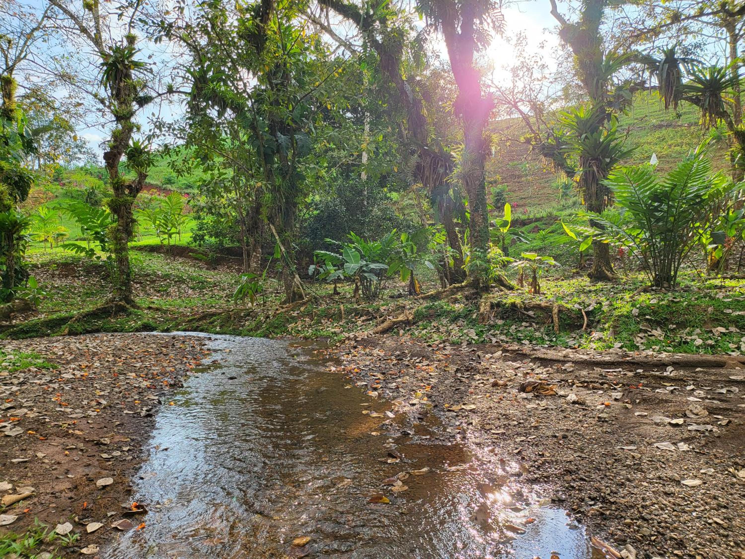 Jaco-Carara 3 bdrm surrounded by rainforest with private pool