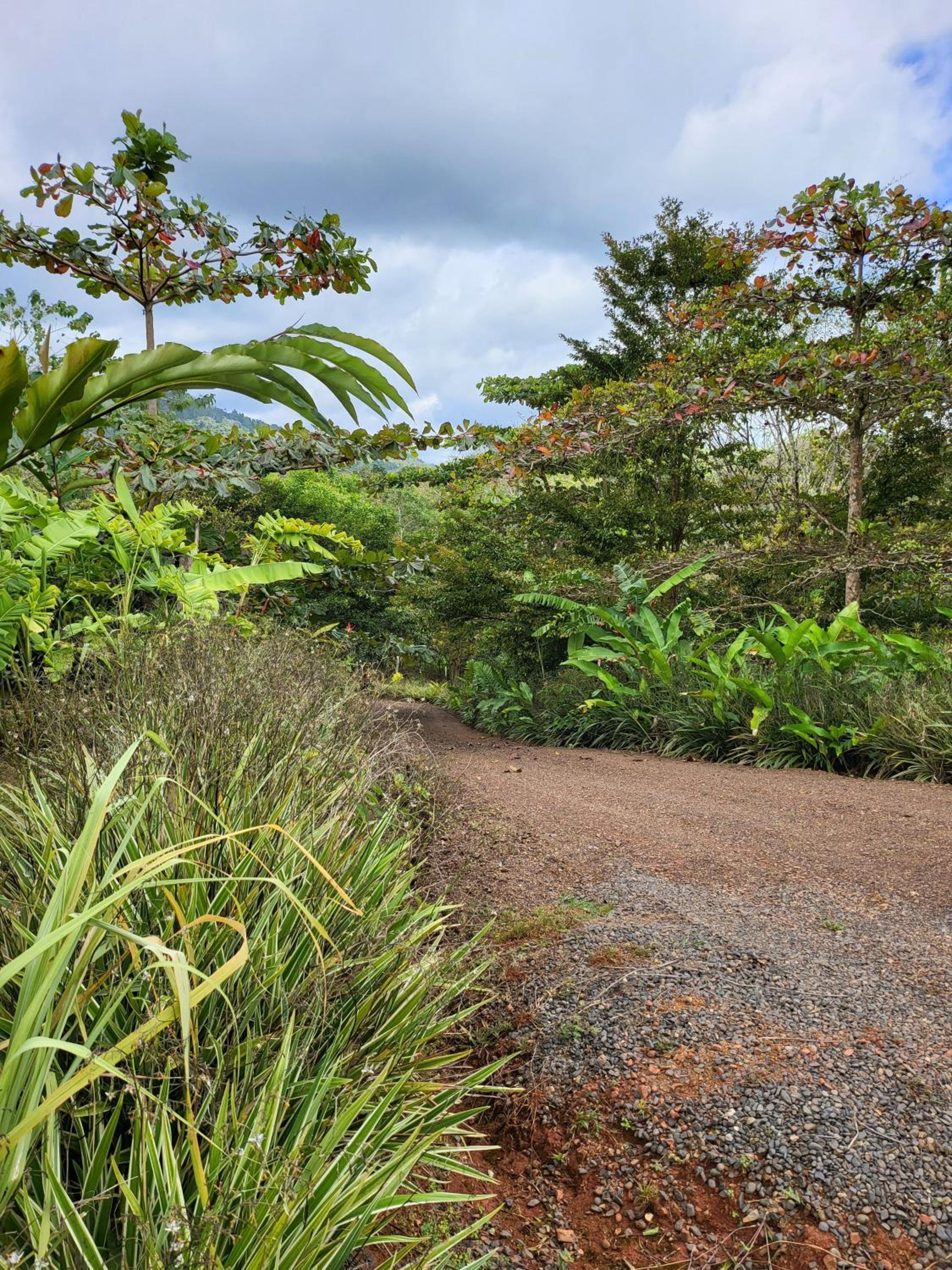 Jaco-Carara 3 bdrm surrounded by rainforest with private pool