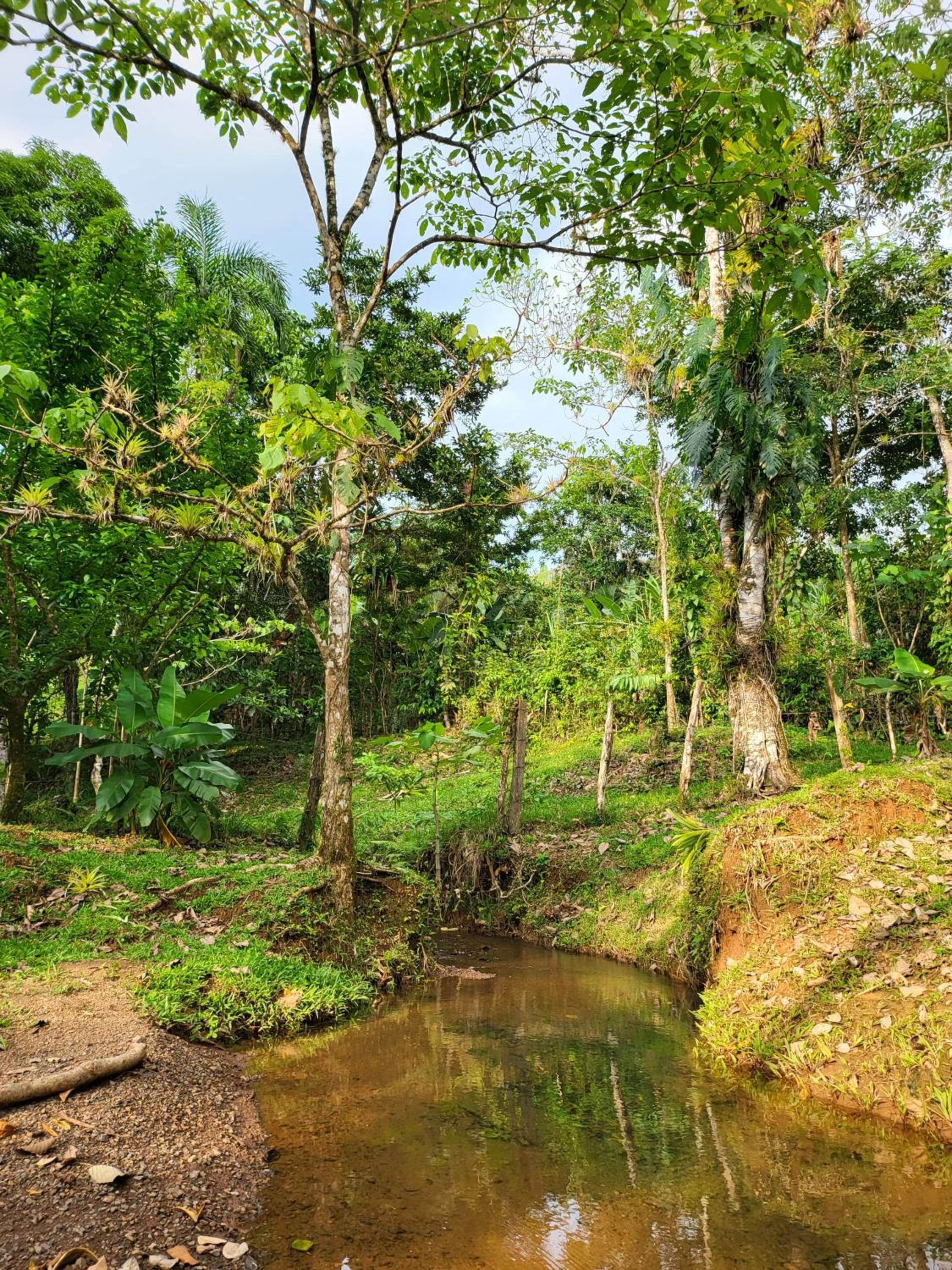 Jaco-Carara 3 bdrm surrounded by rainforest with private pool