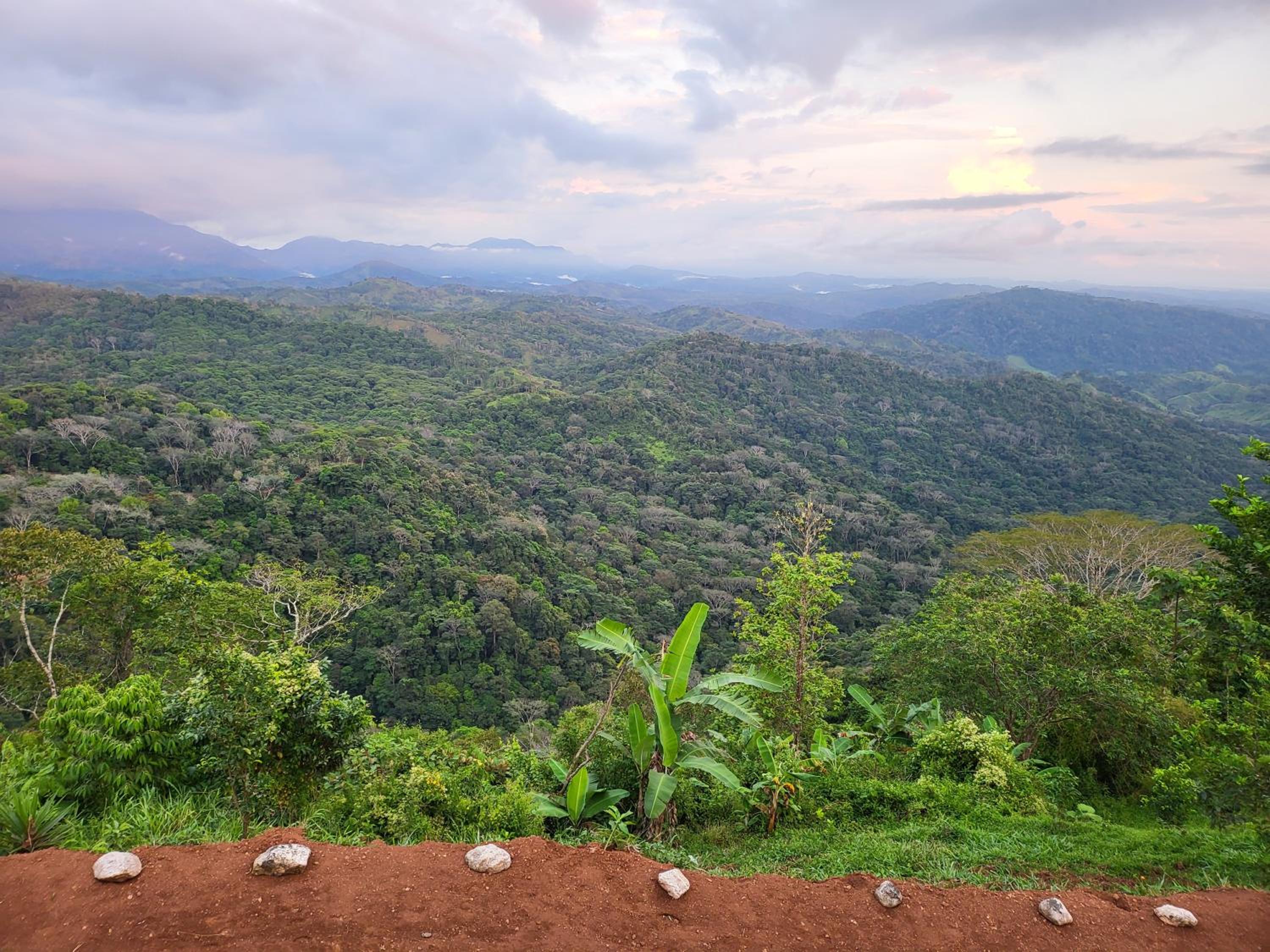 Jaco-Carara 3 bdrm surrounded by rainforest with private pool