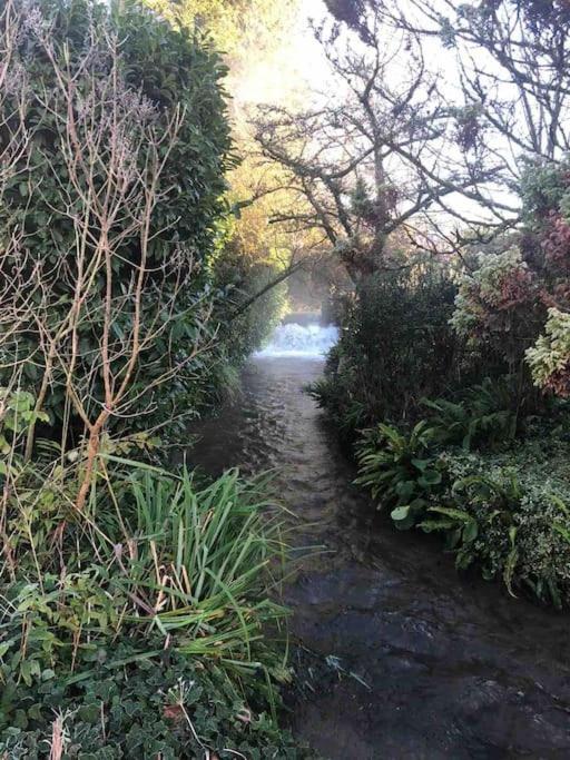 Eco-friendly Dorset cottage with spa set in heart of countryside view 4