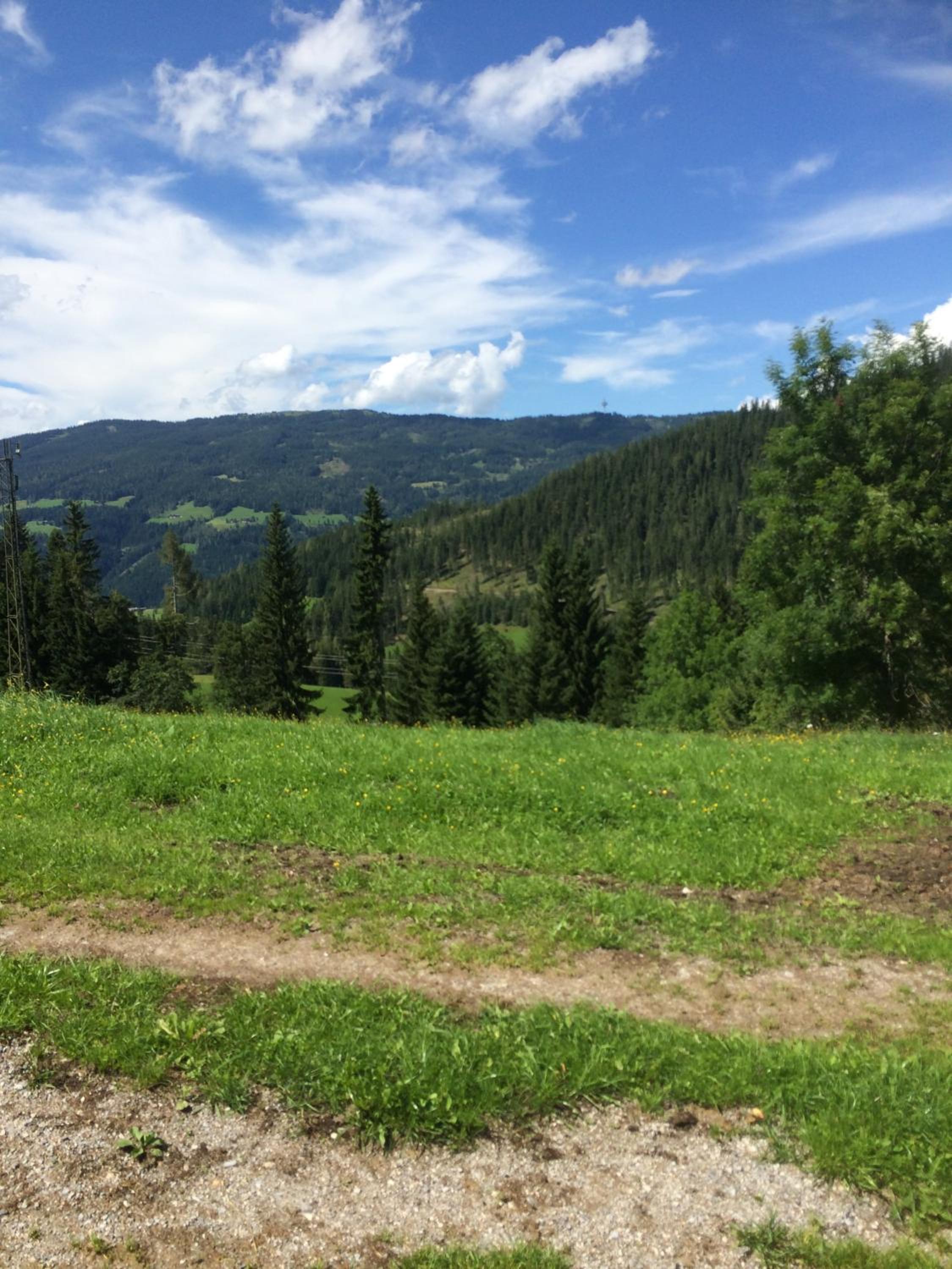 Photo 37