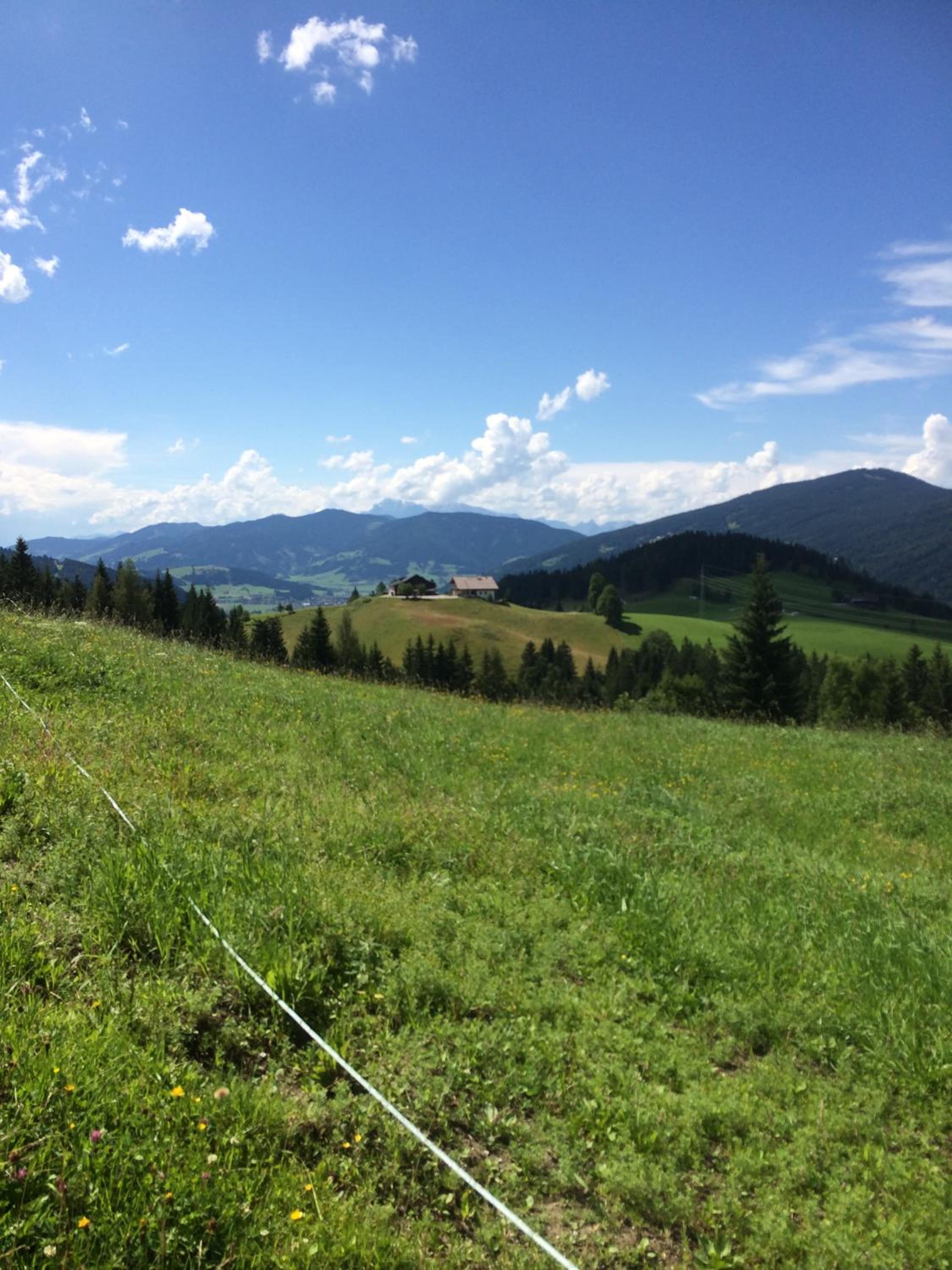 Photo 41