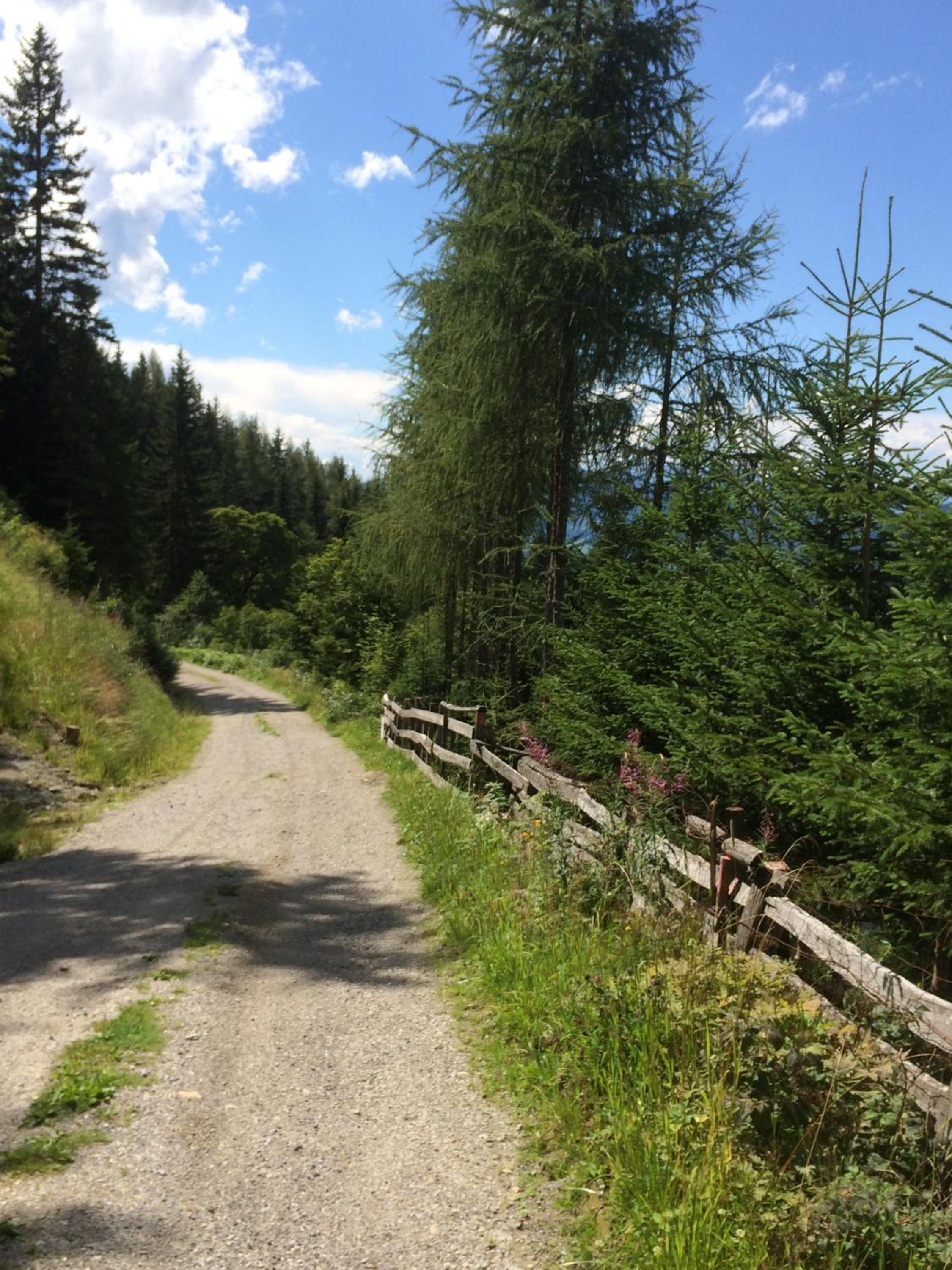 Photo 46
