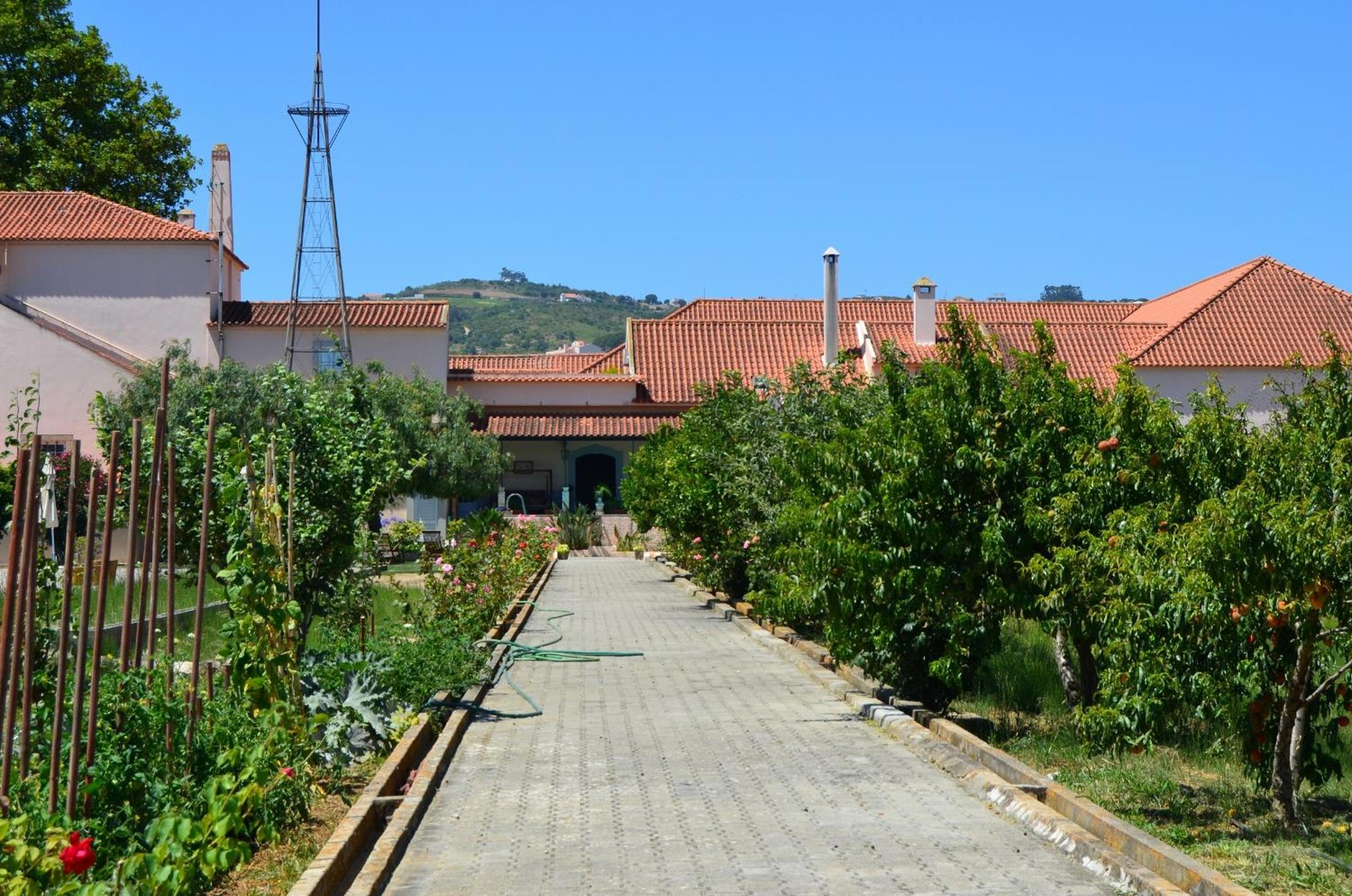 Quinta do Covanco view 4