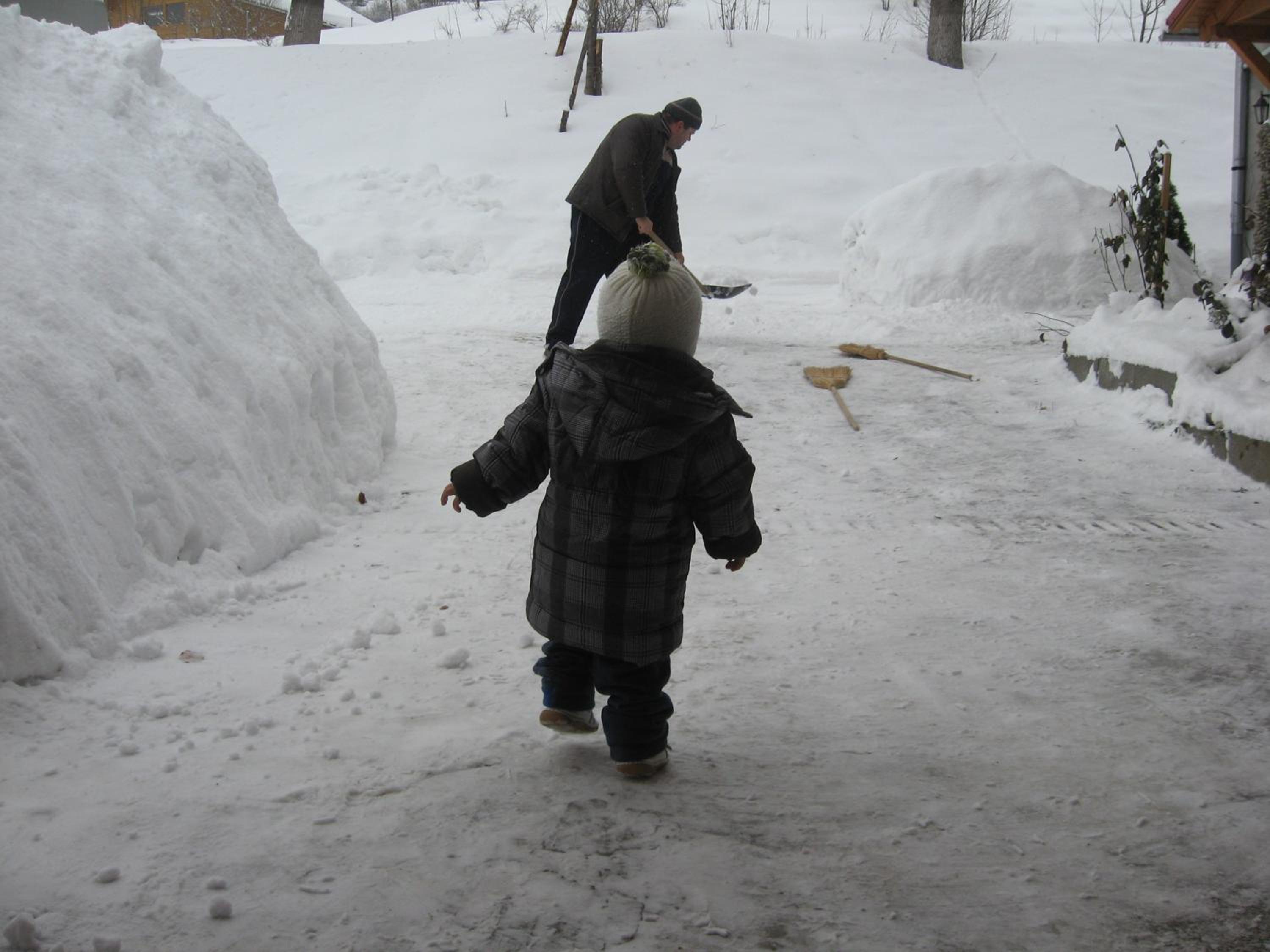 Photo 51