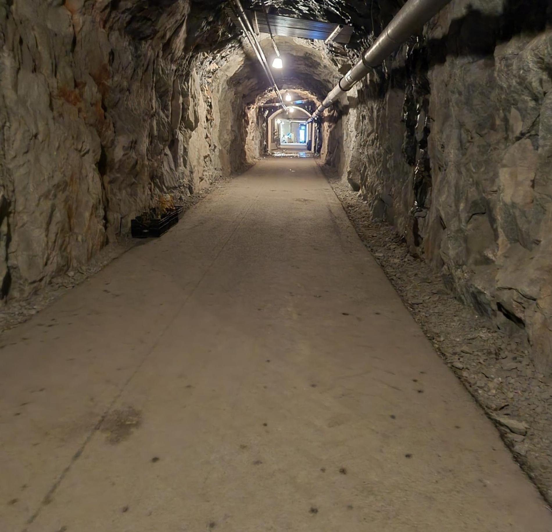 Cave Retreat - Sleeps 2 - Pets - Parking - Wifi view 2