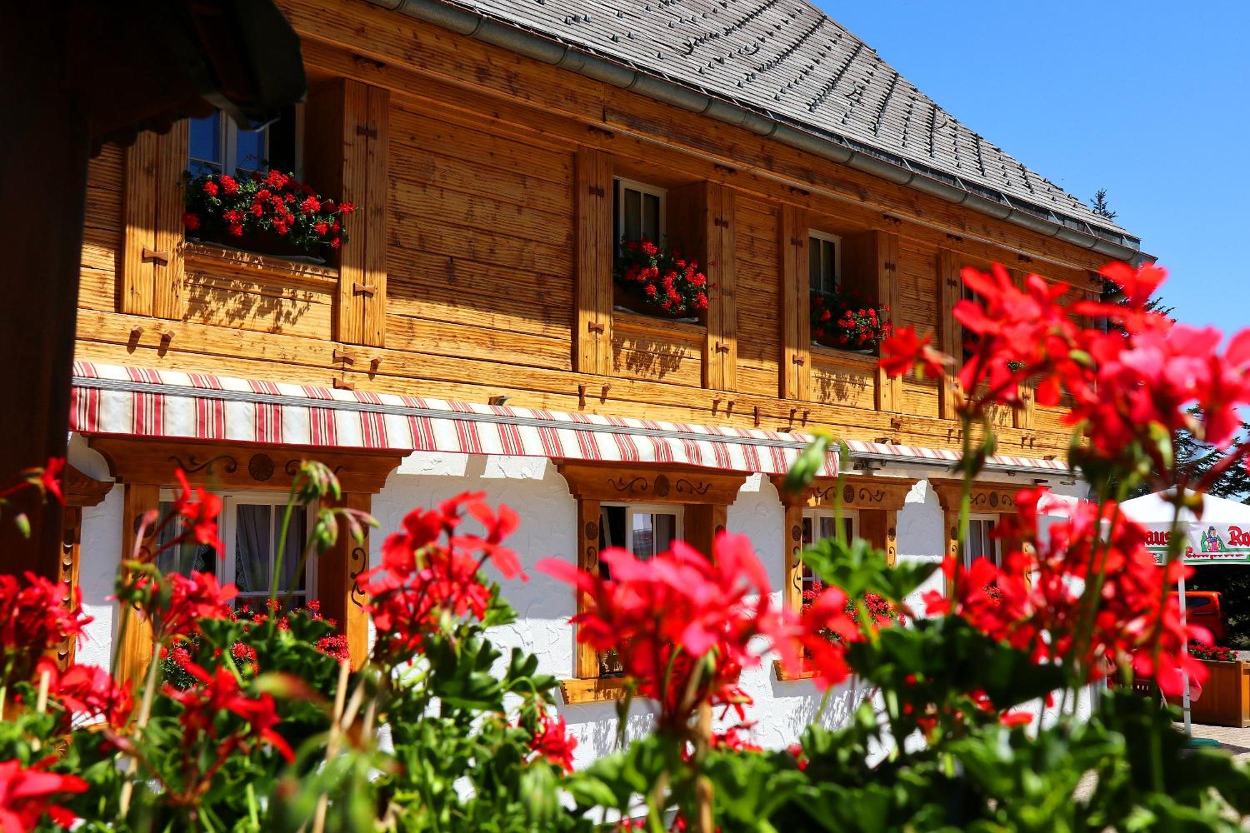 Ferienwohnung Waldrauschen in der Höhenpension Glashütte