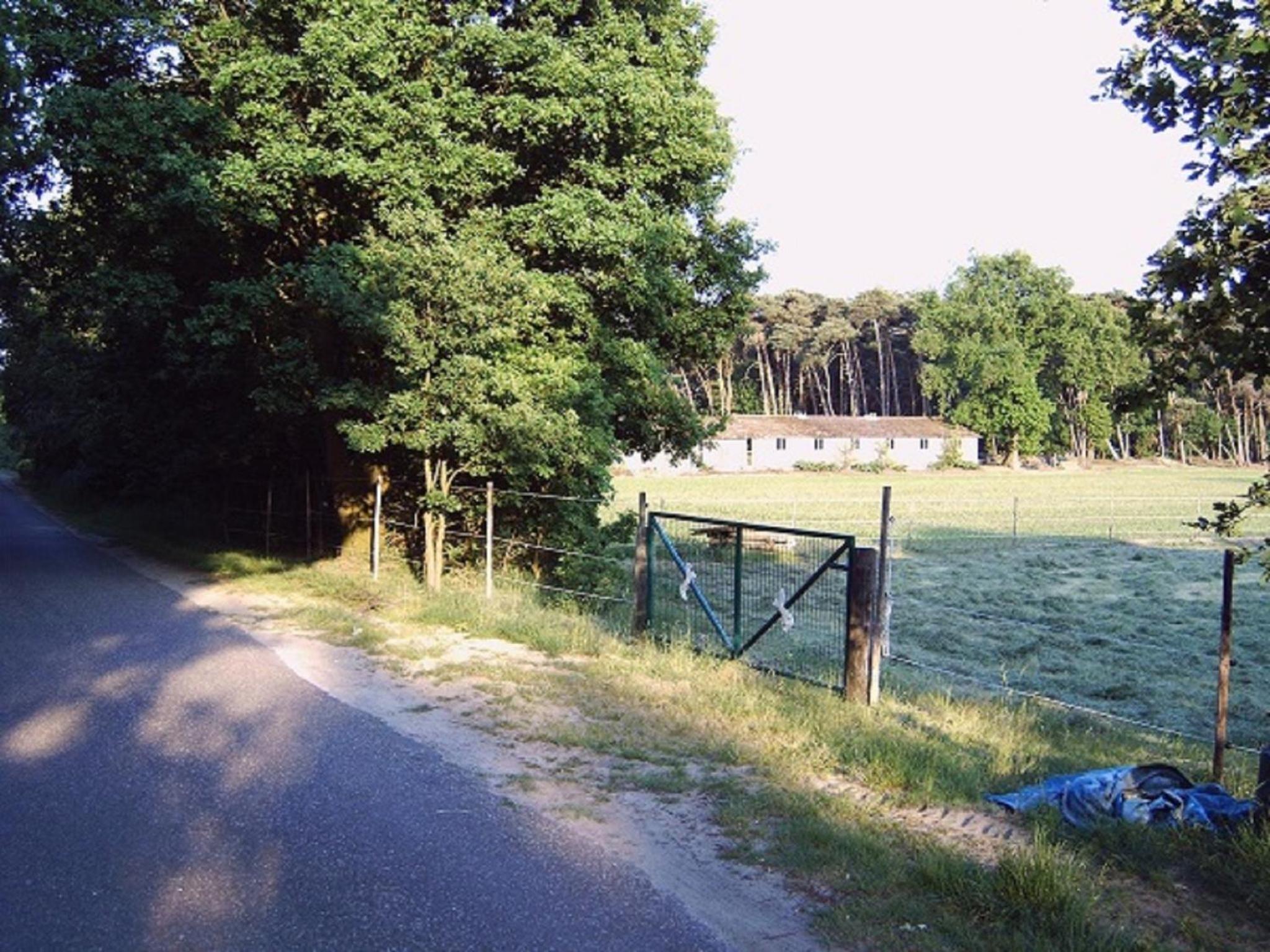 Photo 24