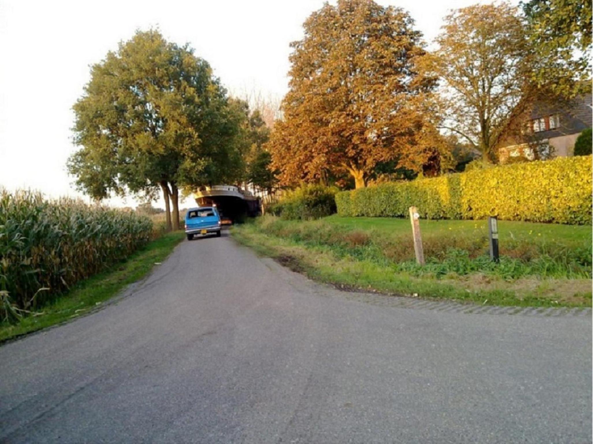 Photo 25