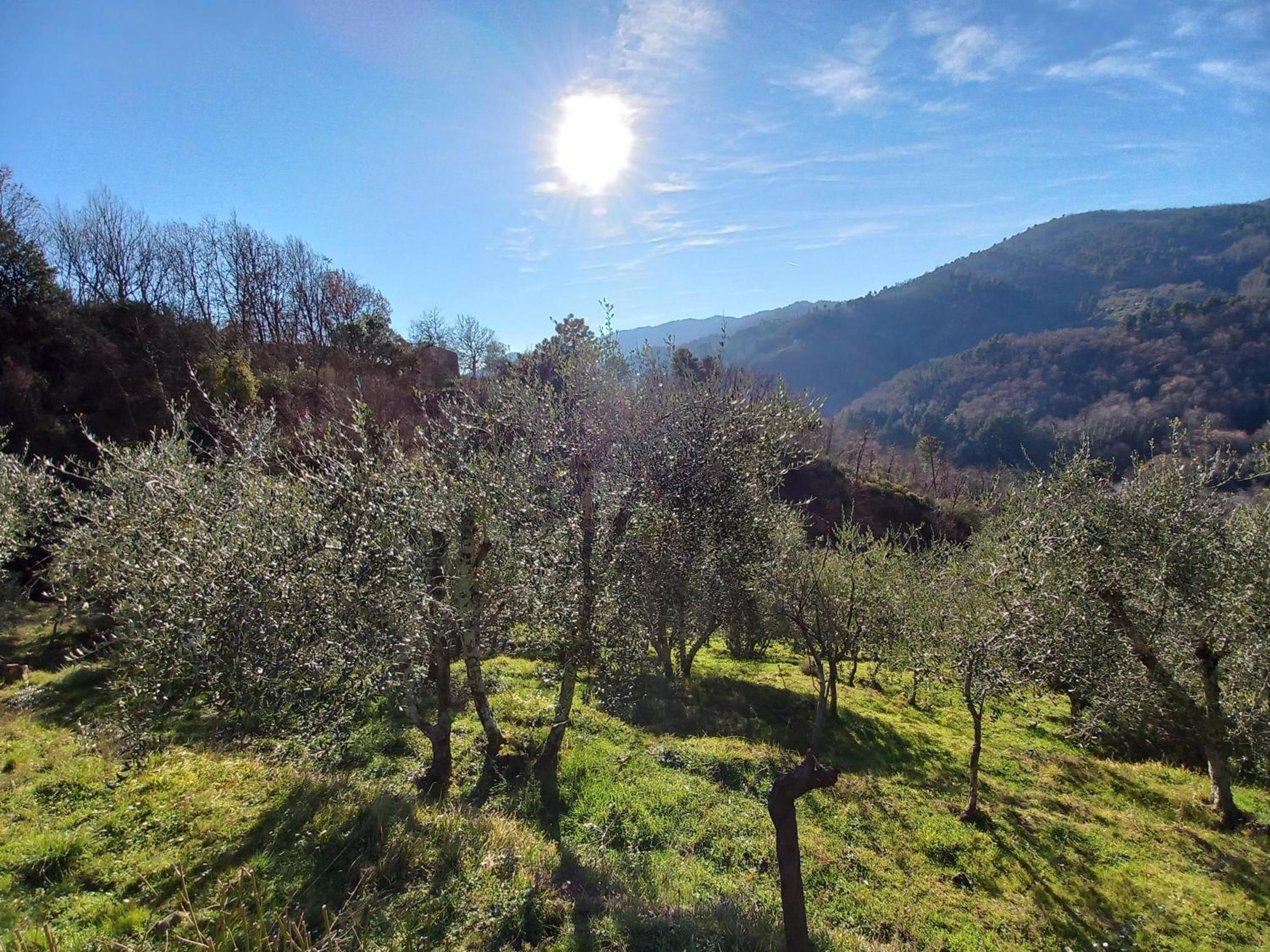 Aramo House view 5