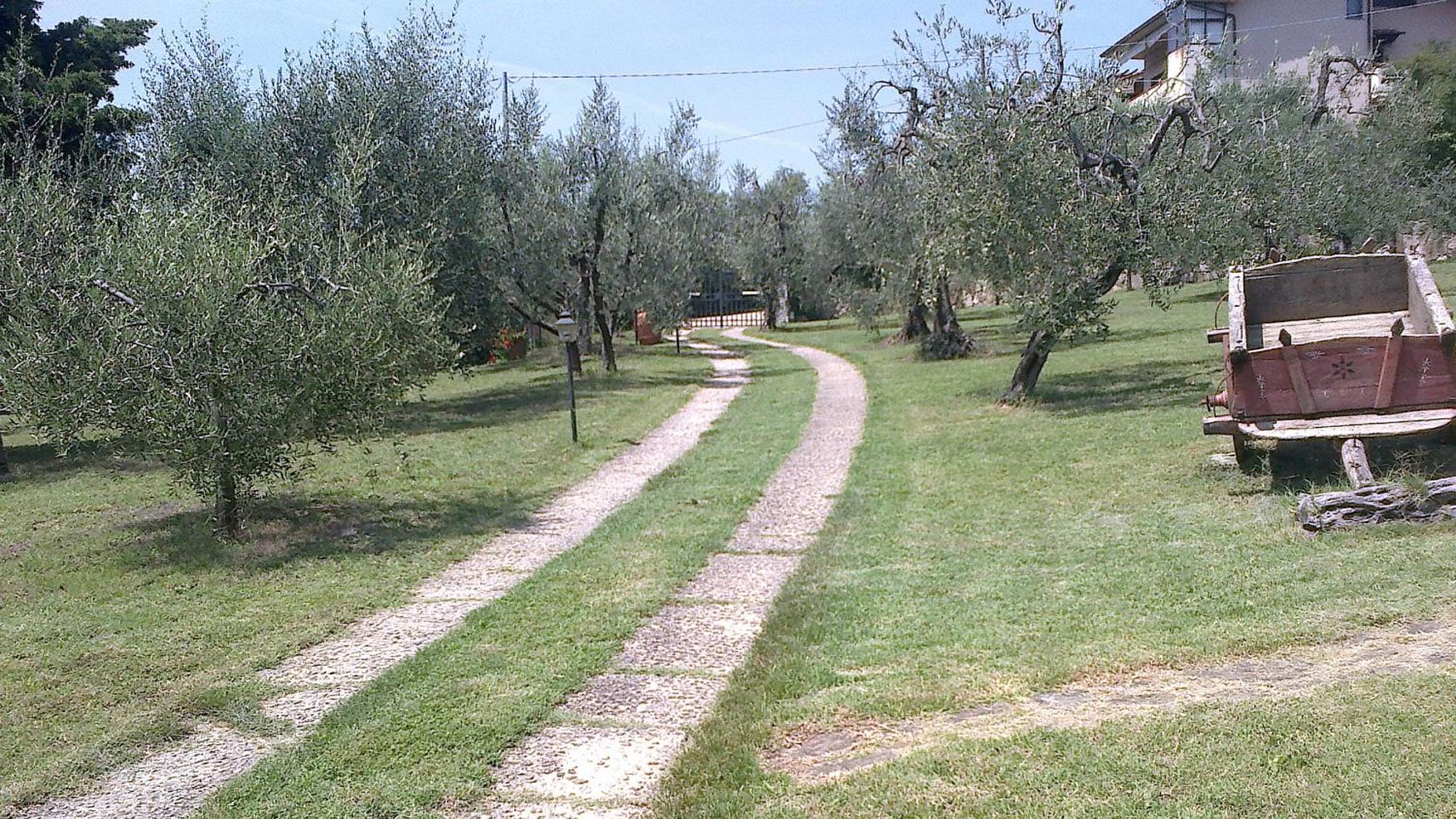 Photo 33