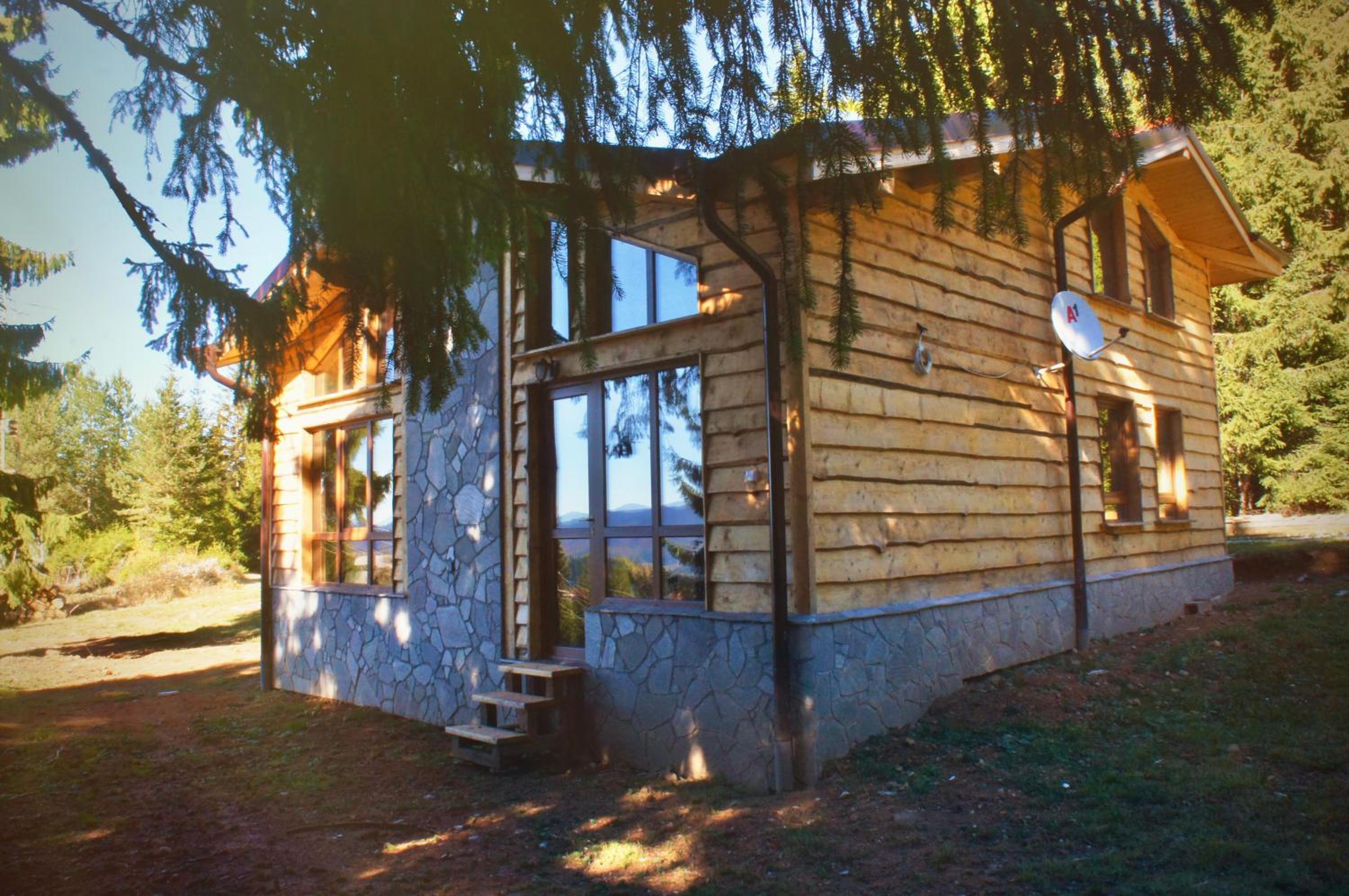 Photo 25