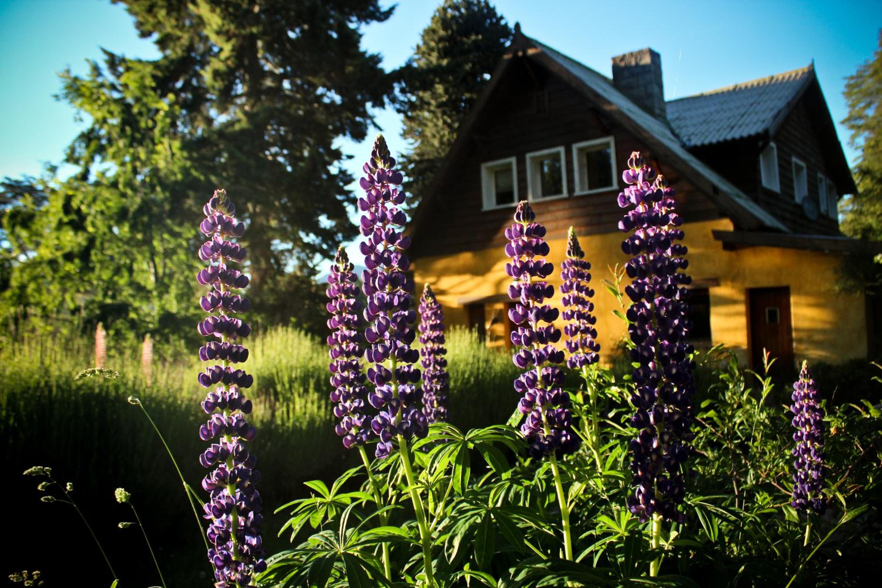 Los Juncos Patagonian Lake House