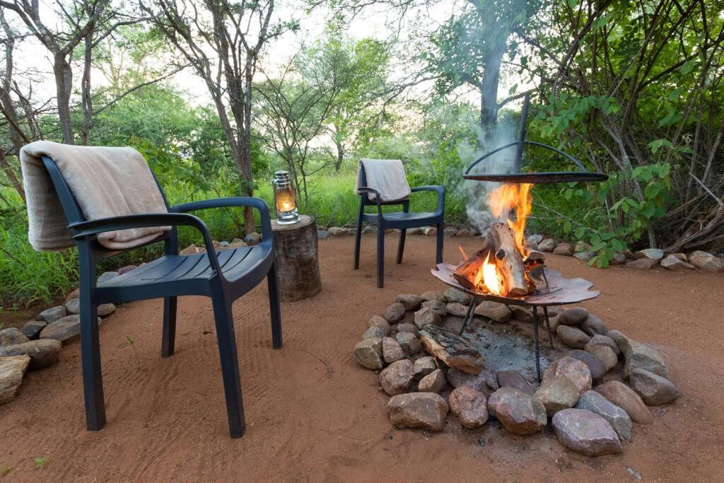 Wildheart Safari - Lion's Den