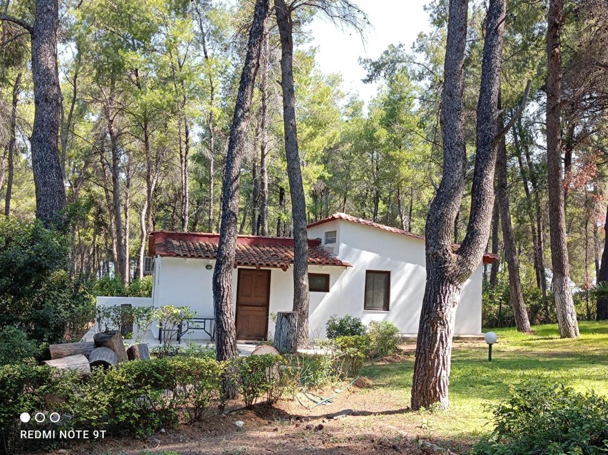 Villa Anty-For rest and relaxation photo 2