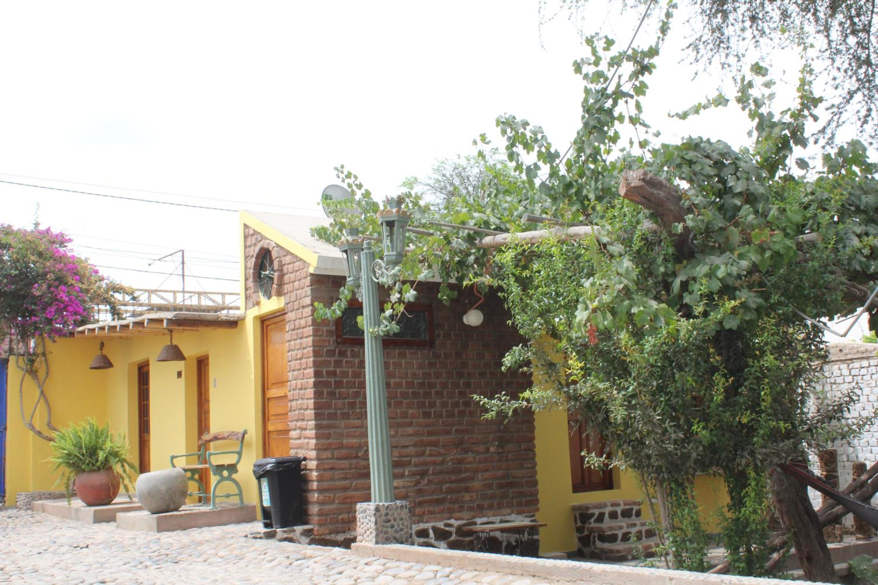 Photo 7