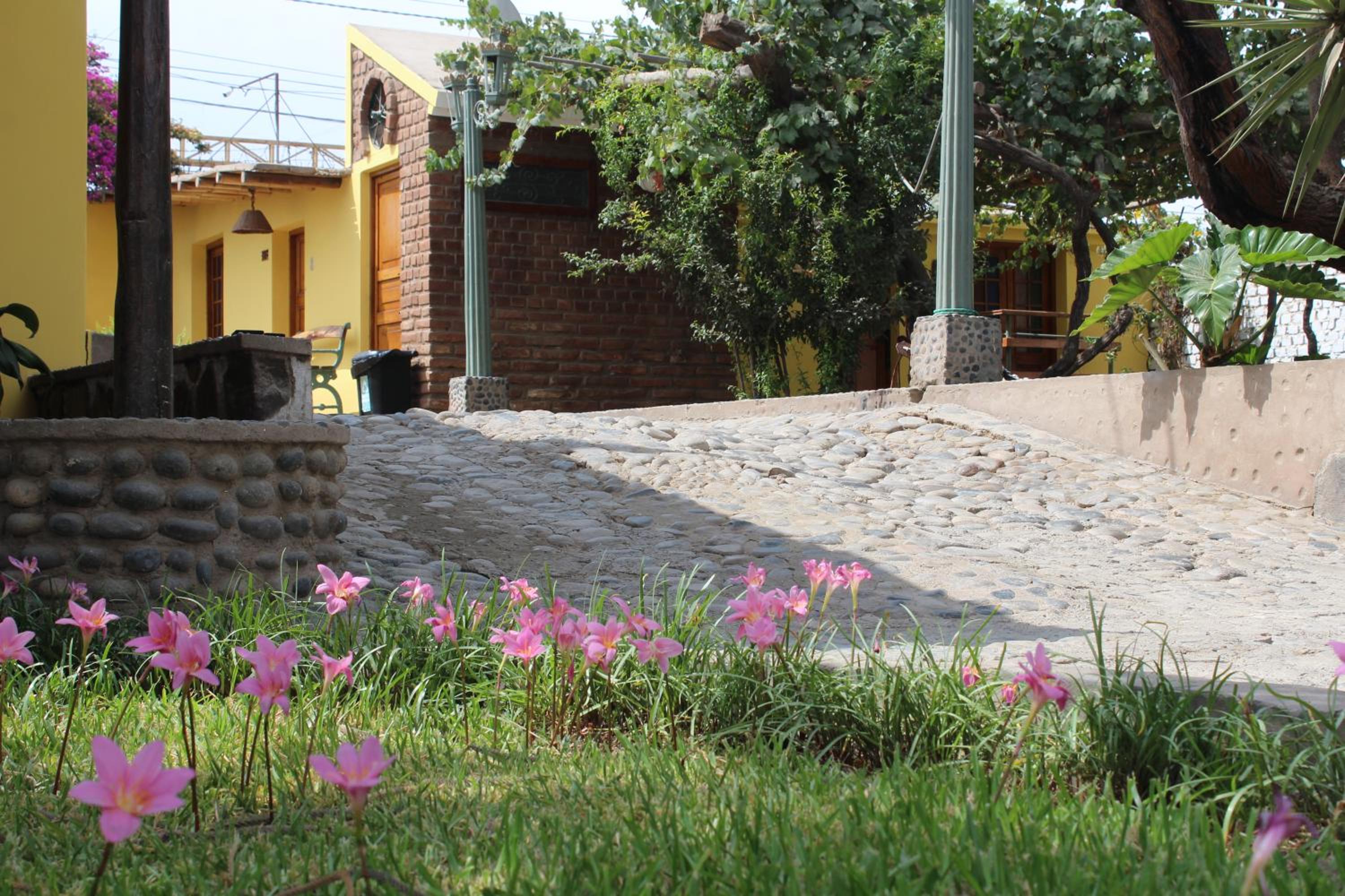 Hostal Loma Blanca view 5