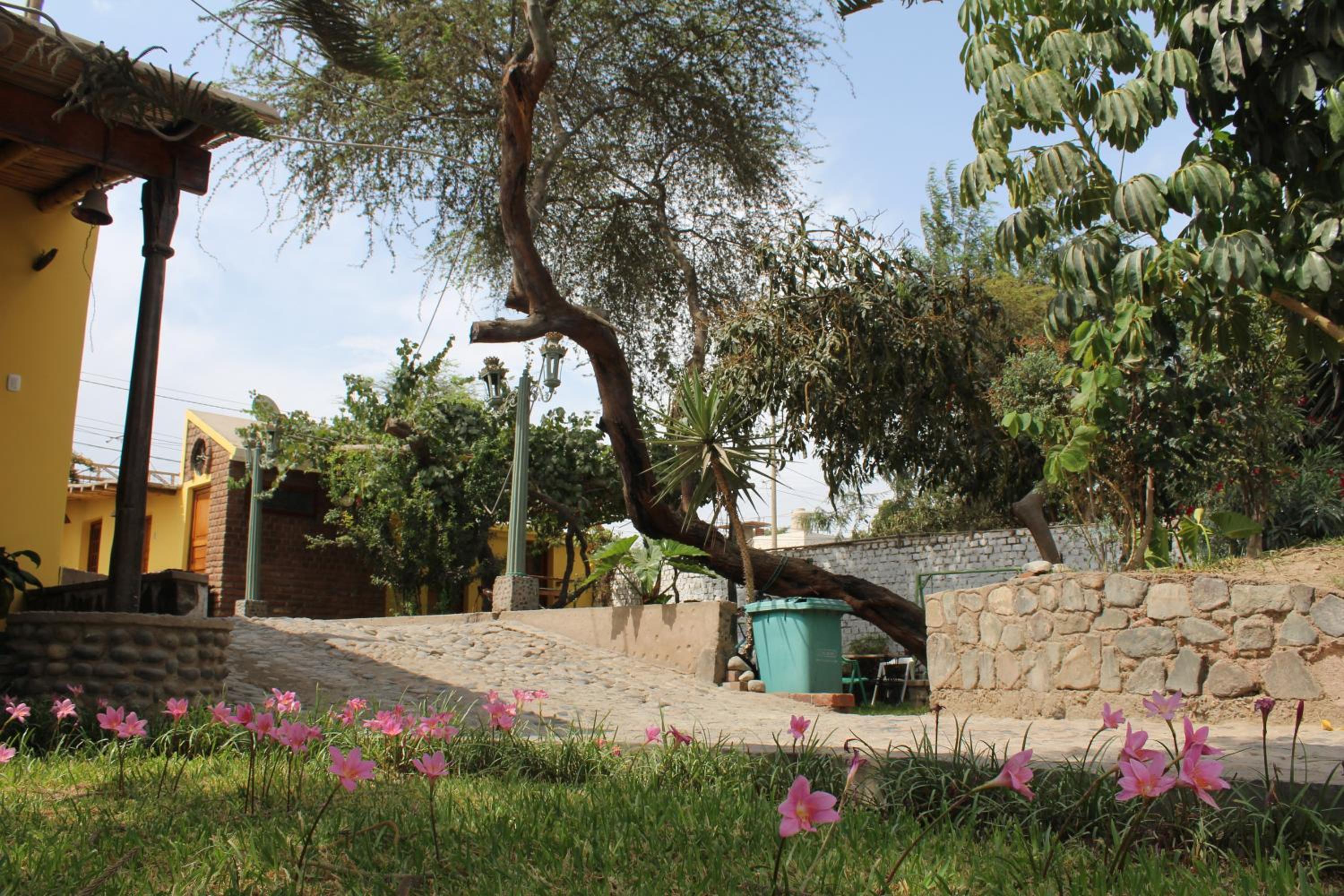 Photo 20
