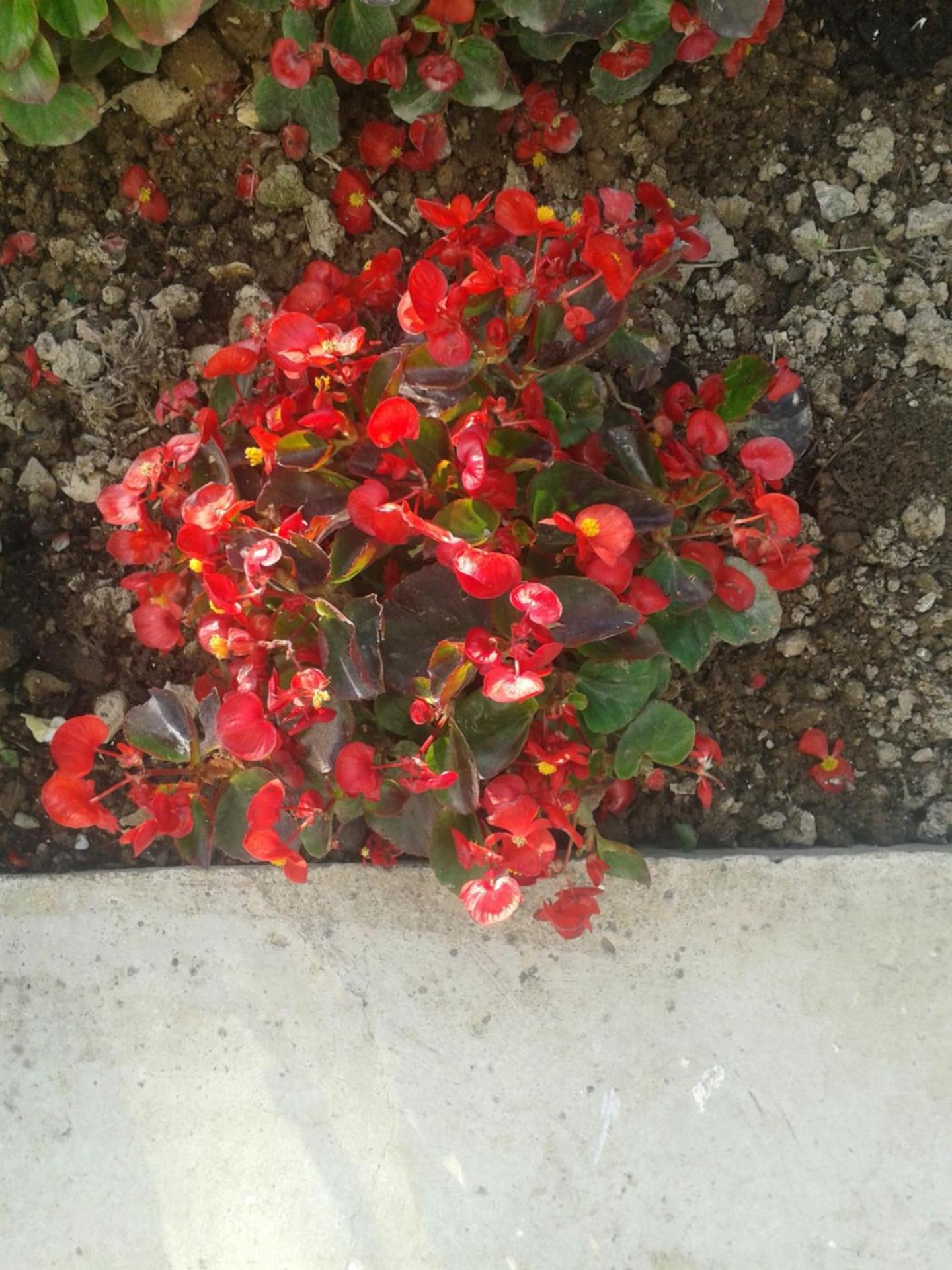 Photo 28