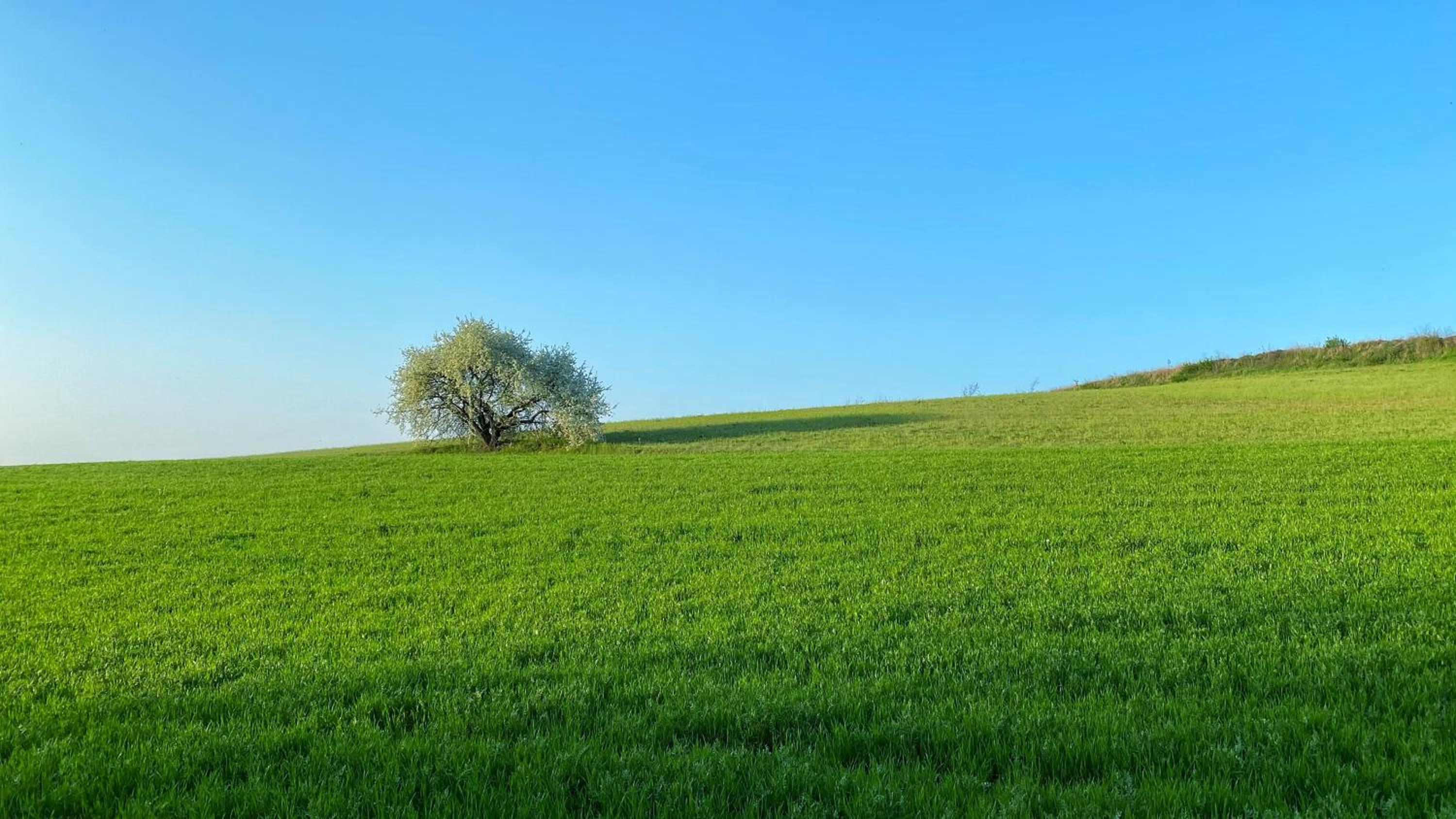 Agriturismo Albana