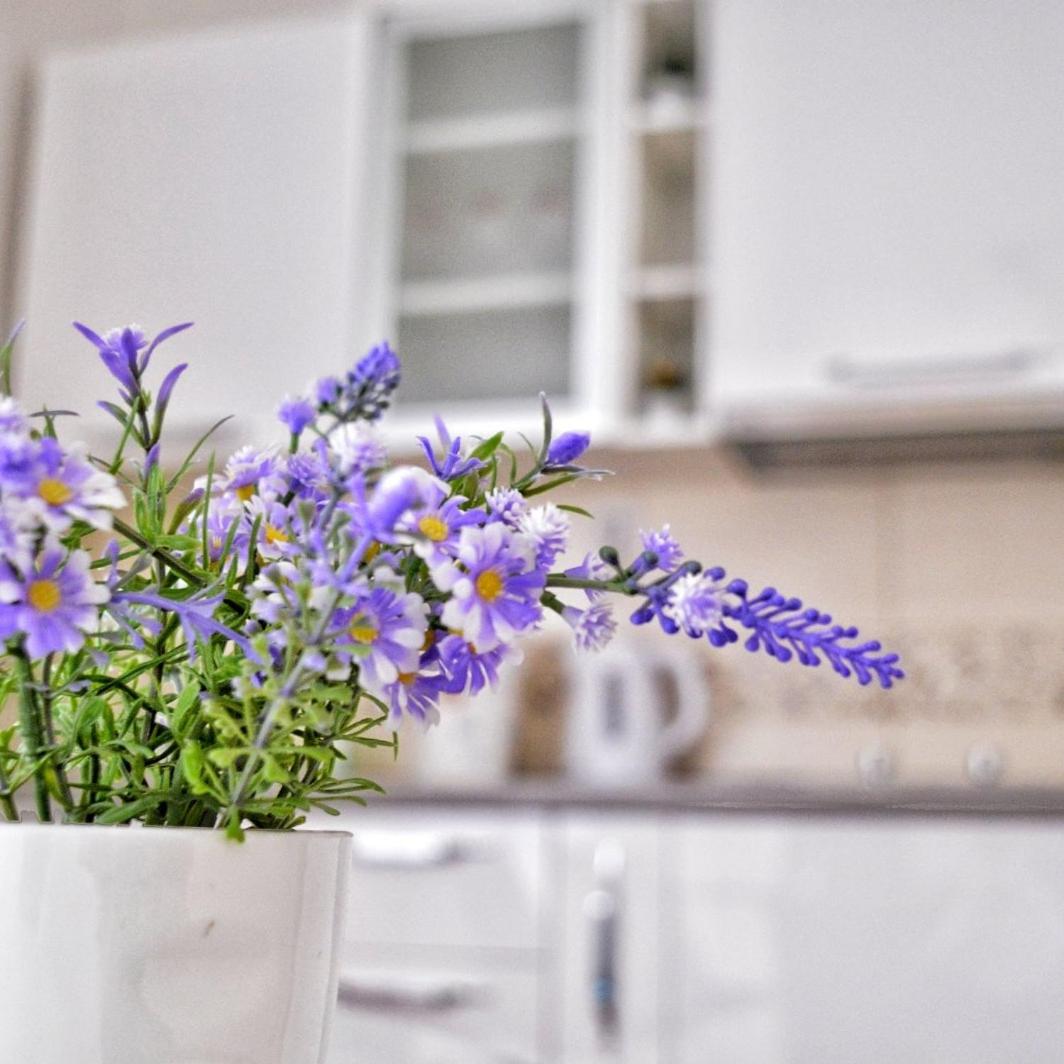 Apartman Sanja