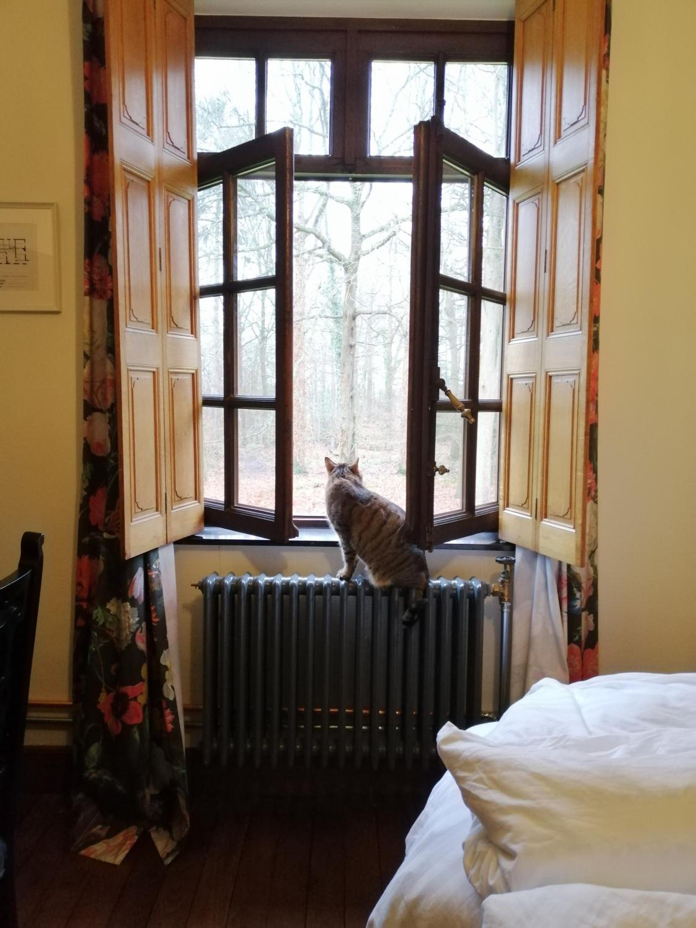 Het Domherenhuis B&B, Restaurant Calice
