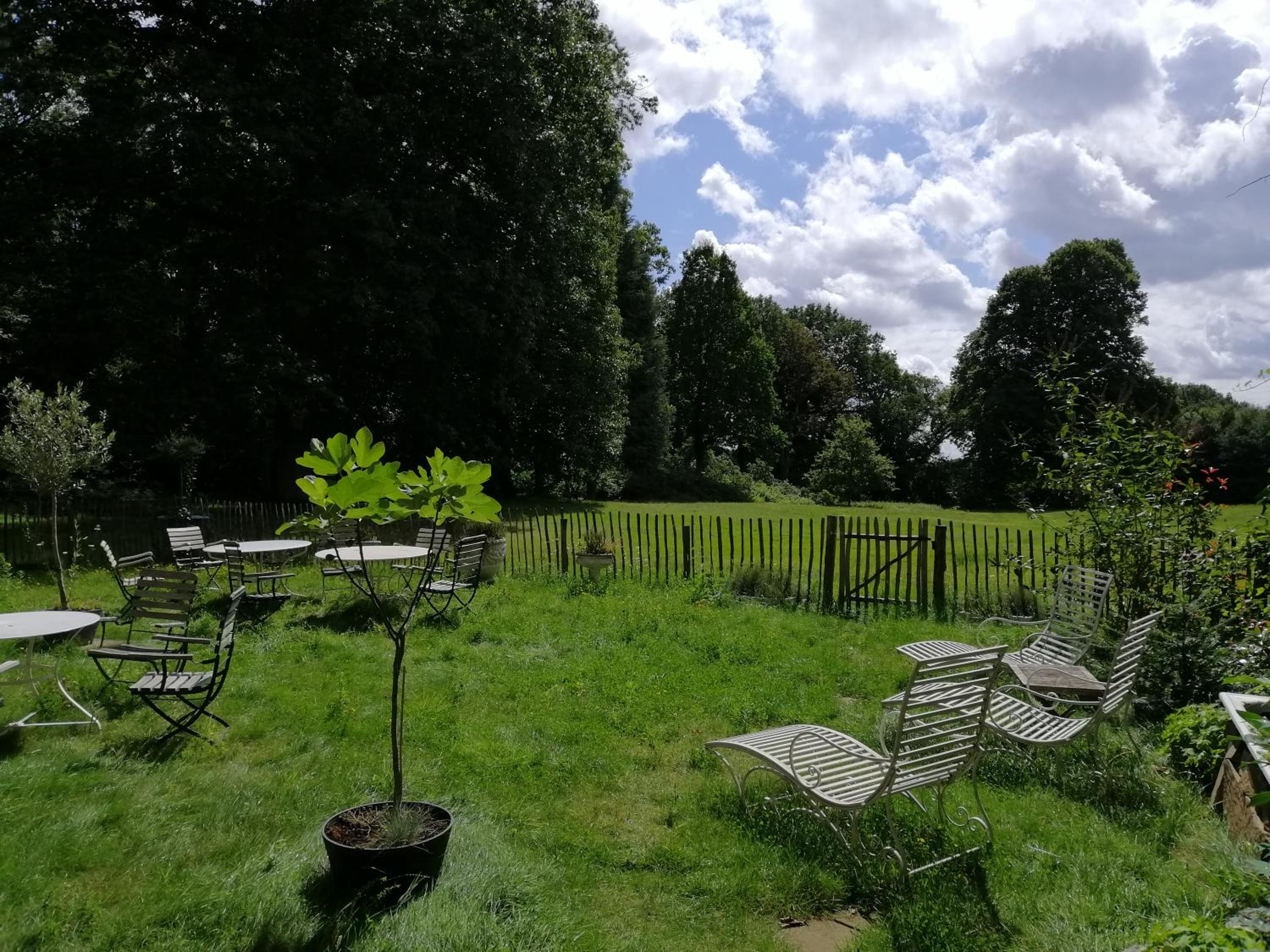 Het Domherenhuis B&B, Restaurant Calice