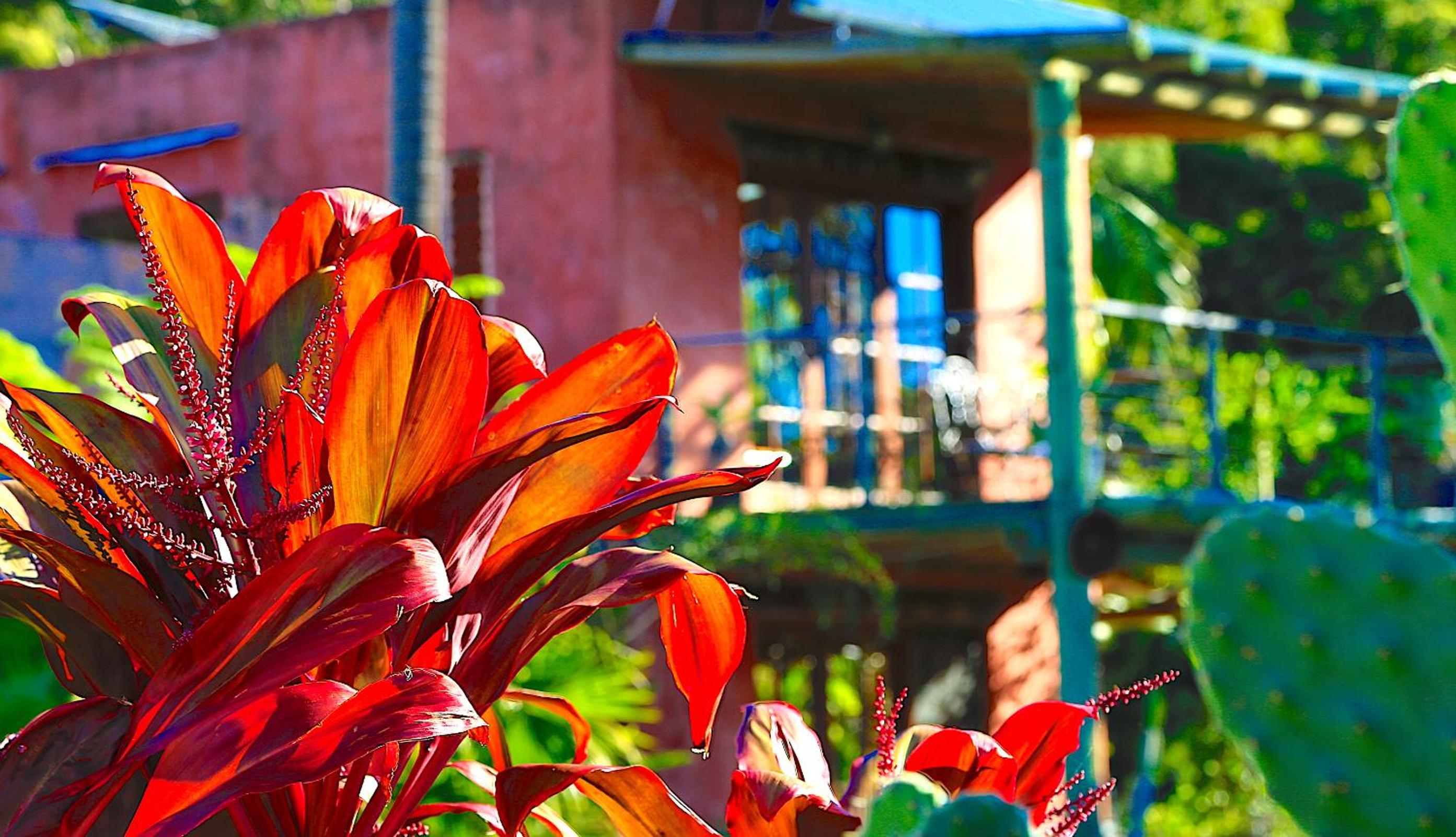 Pueblo at Indigal - Relax Rejuvenate Reconnect