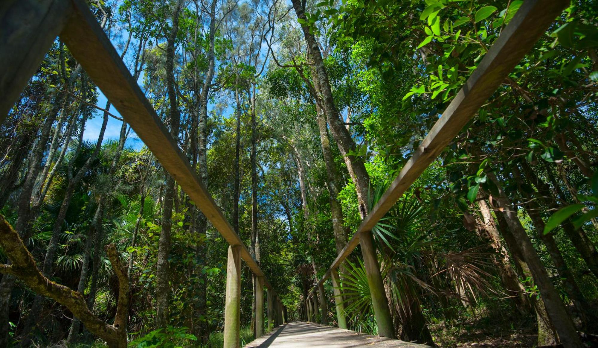 Pueblo at Indigal - Relax Rejuvenate Reconnect