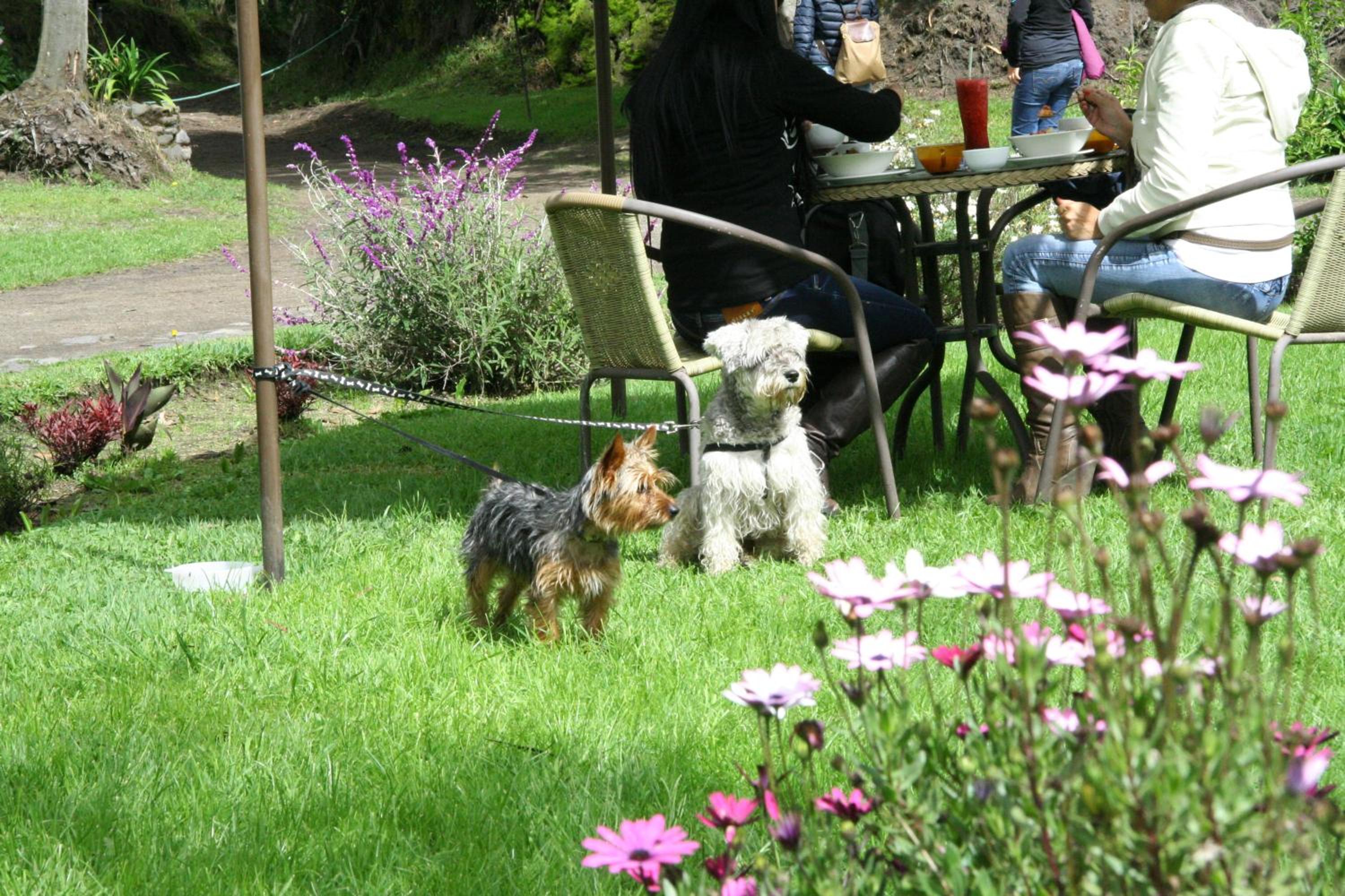 Photo 49