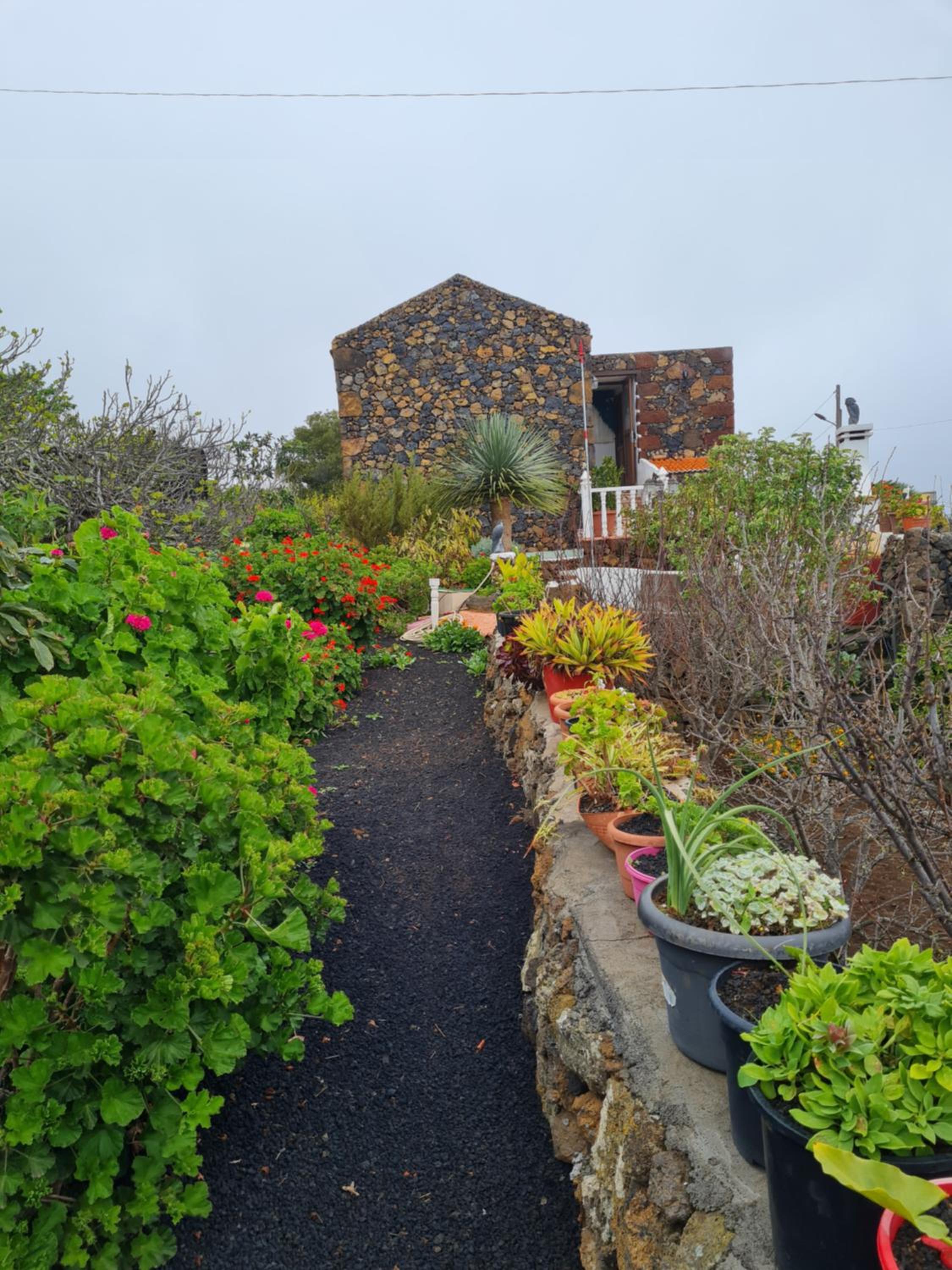 CASA TIN view 4