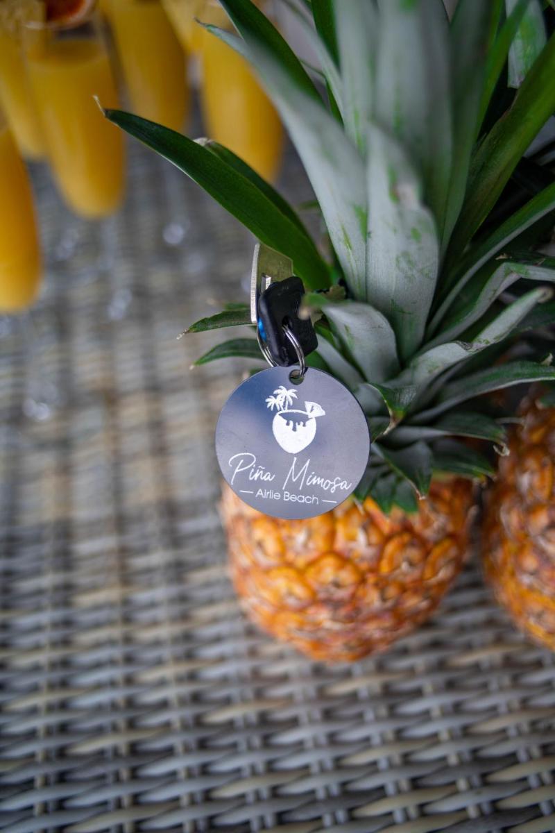 Airlie Beach Vacations - Pina Mimosa - Airlie Beach - Property Image 2