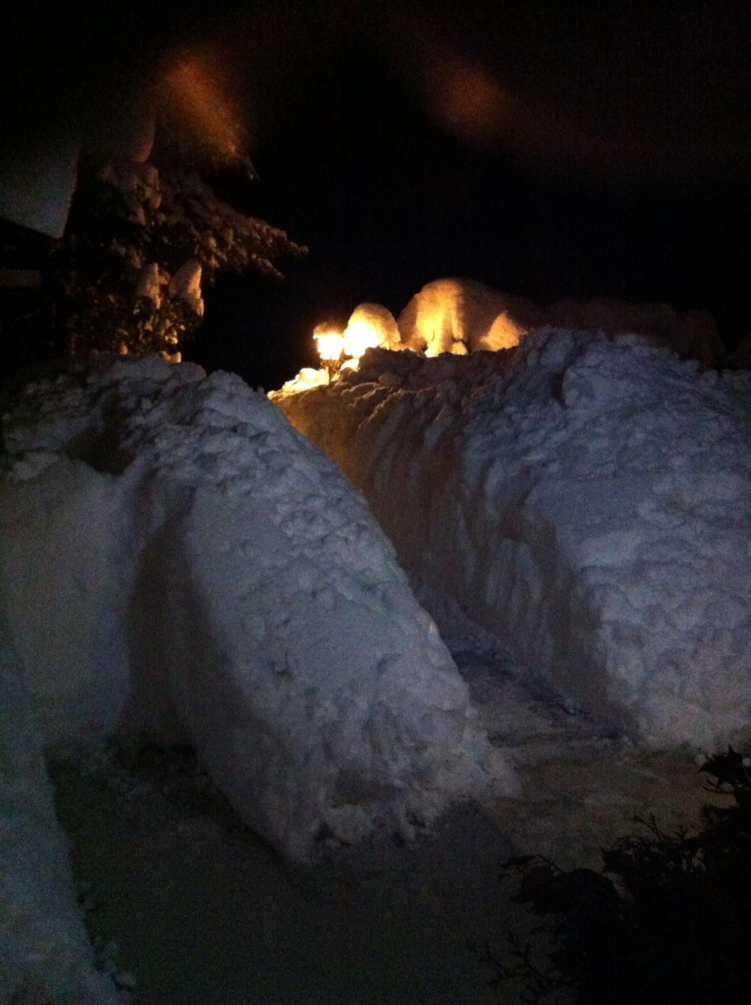 Photo 44